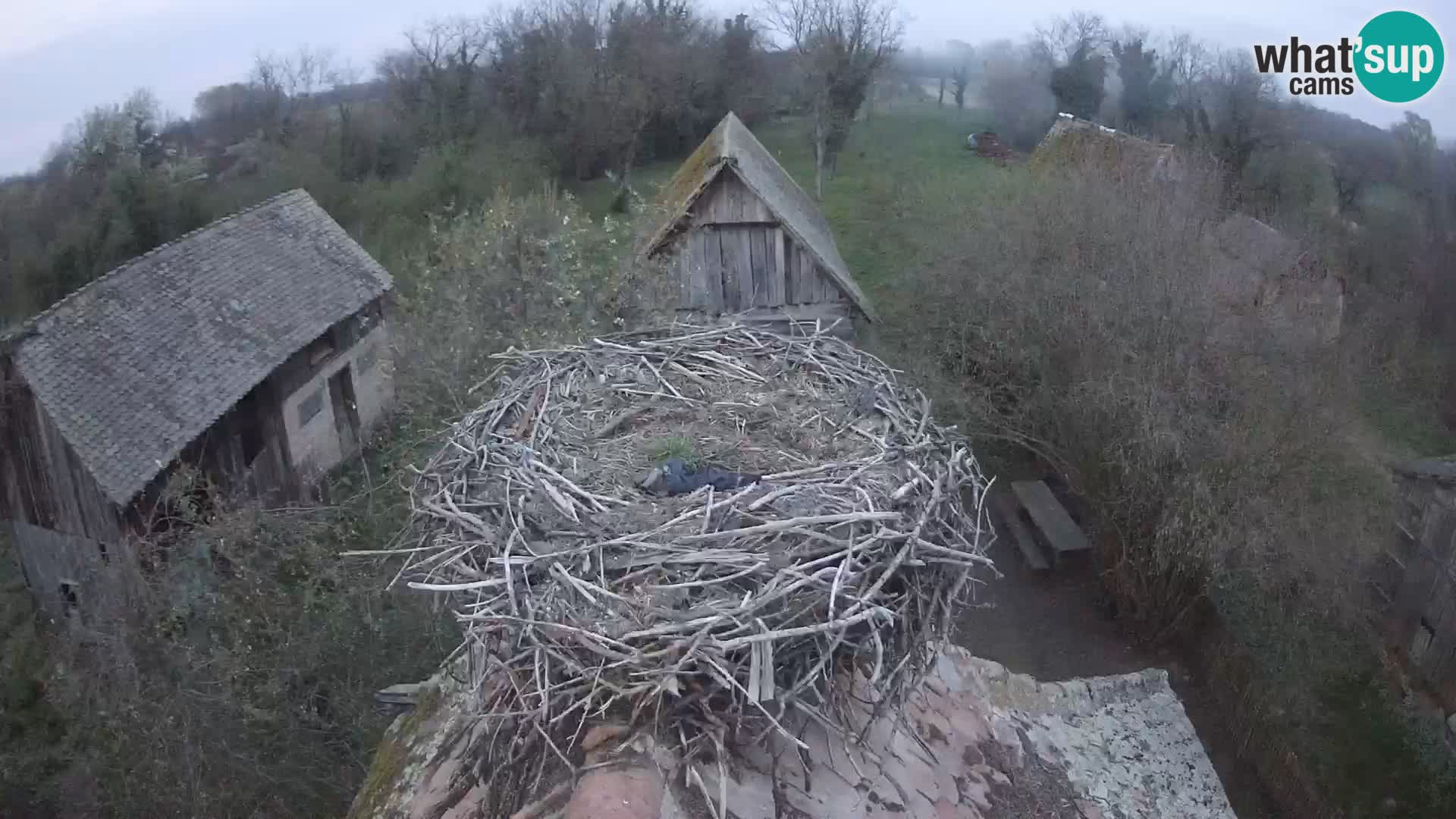 U živo Europsko selo roda – Park prirode Lonjsko polje