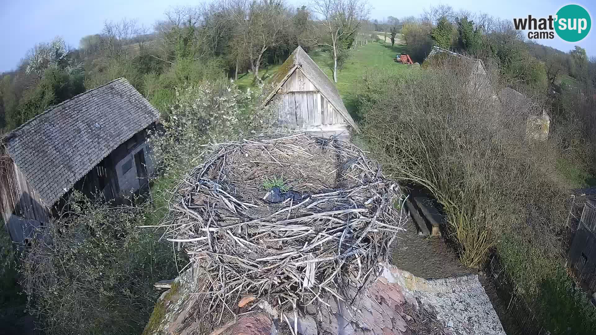U živo Europsko selo roda – Park prirode Lonjsko polje