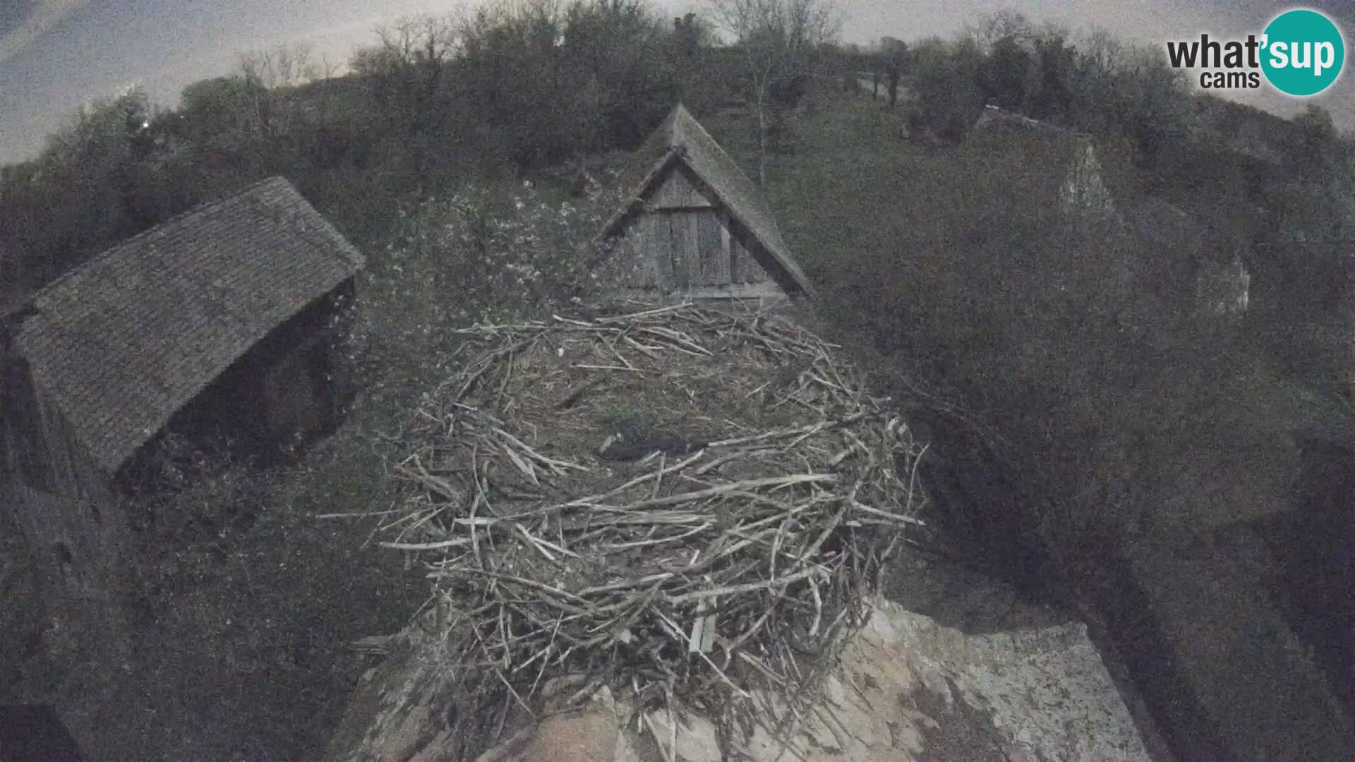 U živo Europsko selo roda – Park prirode Lonjsko polje