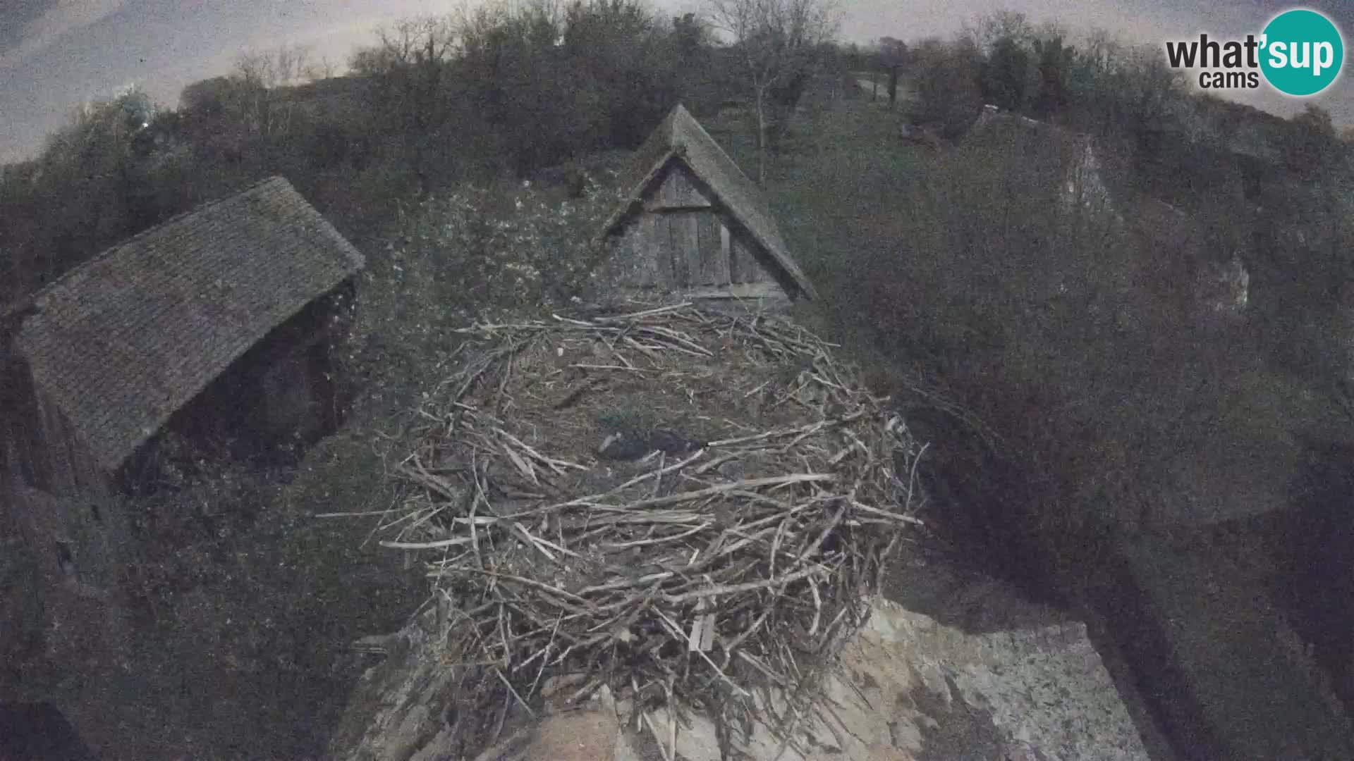 U živo Europsko selo roda – Park prirode Lonjsko polje