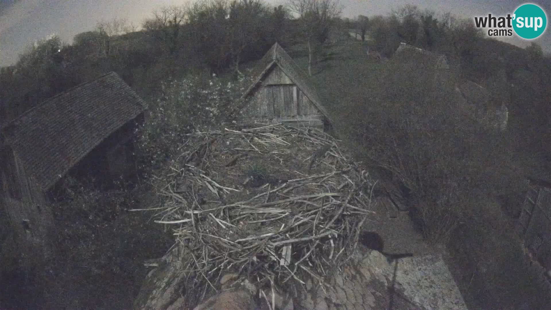 Webcam Europäisches Storchendorf – Naturpark Lonjsko polje