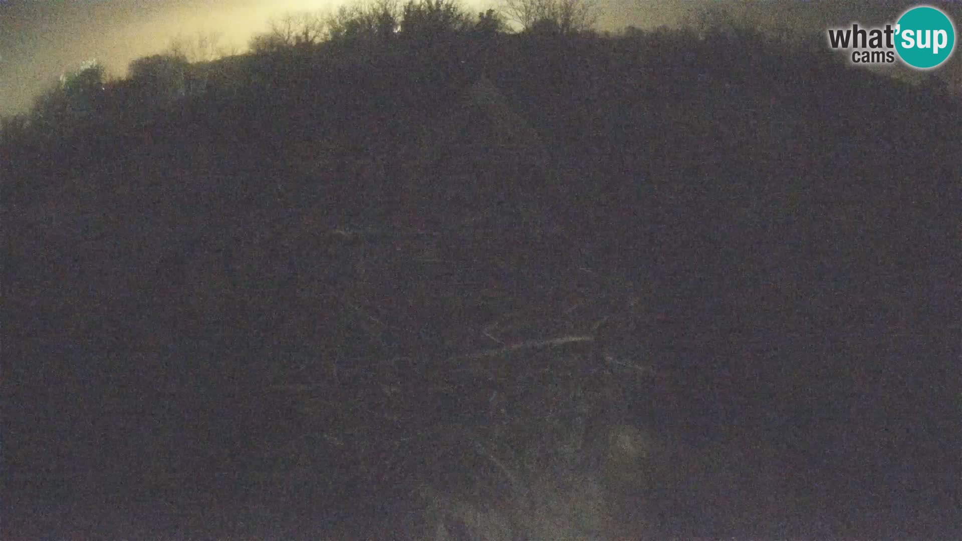 Evropska vas štorklje – Krajinski park Lonjsko polje spletna kamera