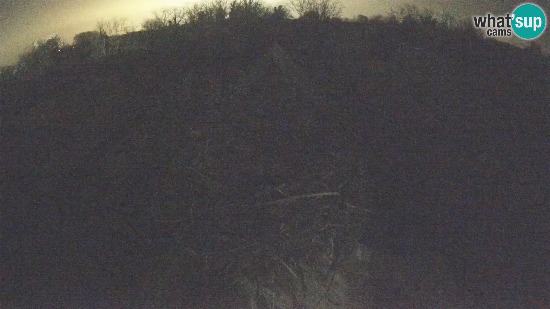 Webcam Europäisches Storchendorf – Naturpark Lonjsko polje