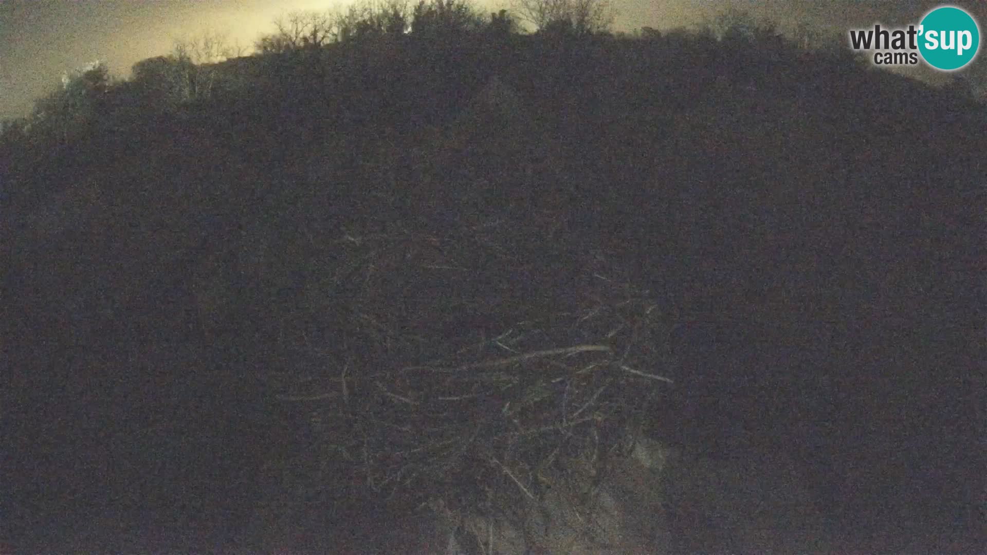 U živo Europsko selo roda – Park prirode Lonjsko polje