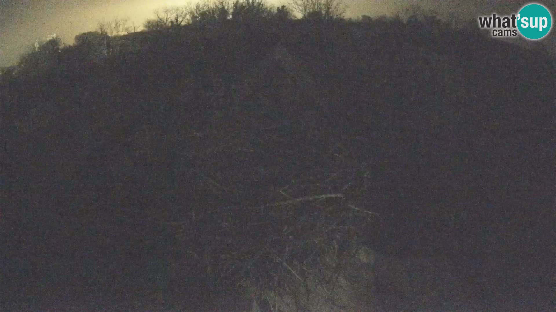 Webcam Europäisches Storchendorf – Naturpark Lonjsko polje