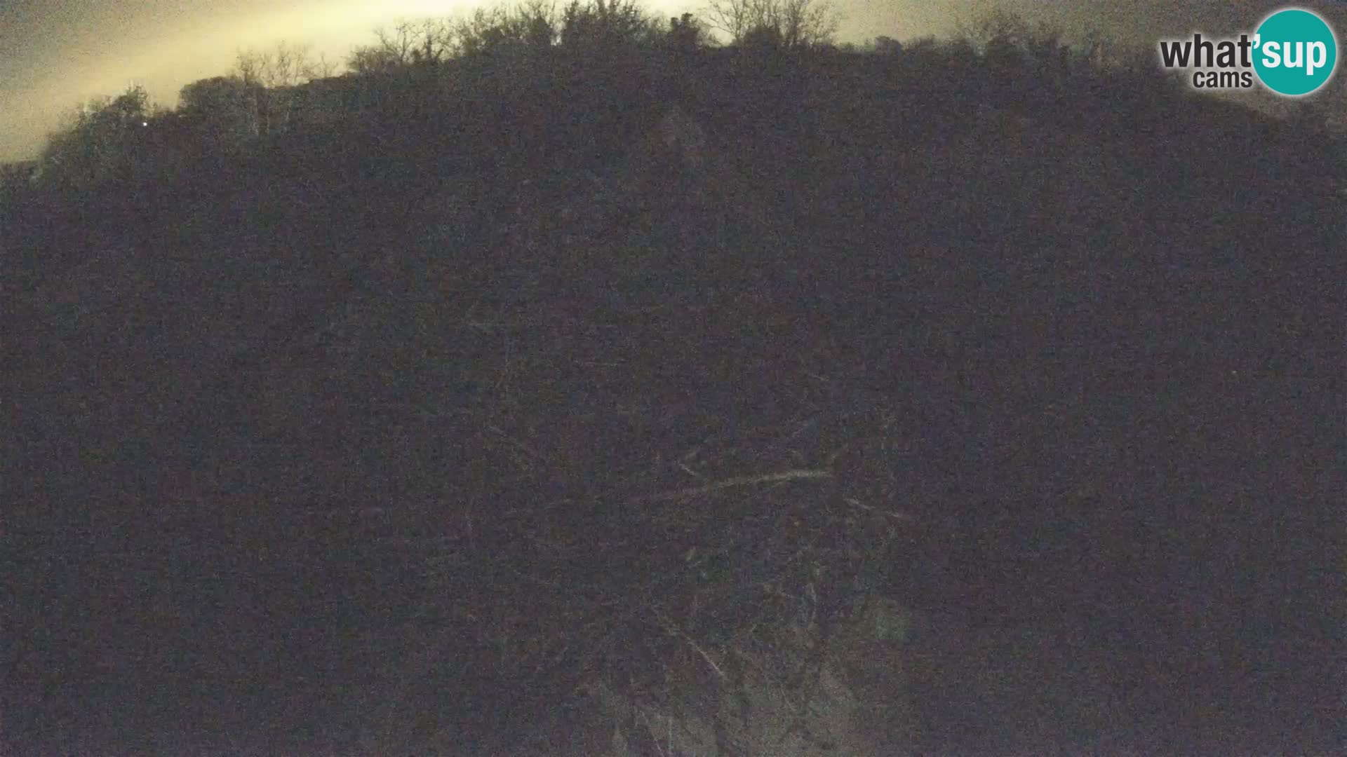 Webcam Europäisches Storchendorf – Naturpark Lonjsko polje