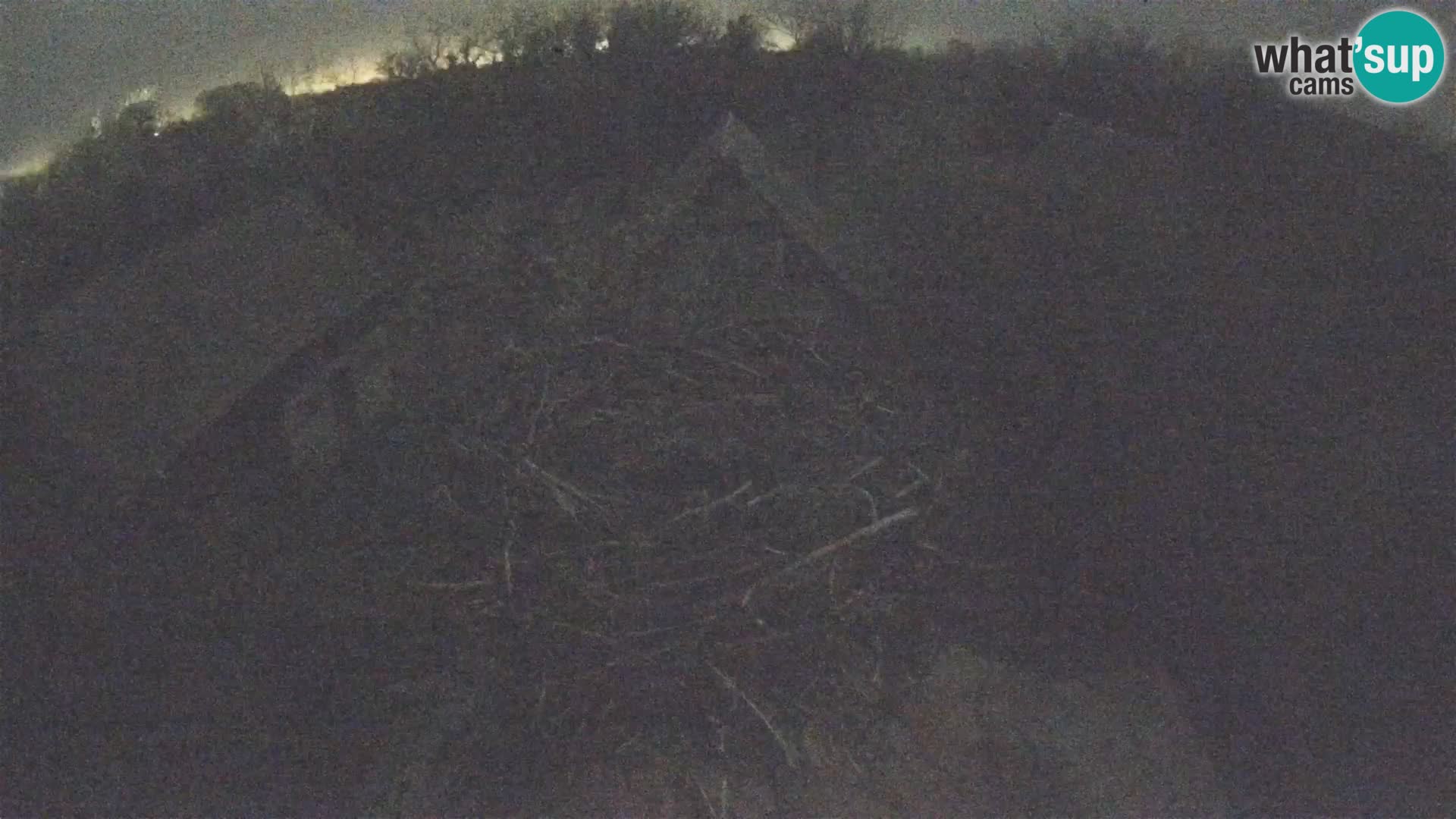 U živo Europsko selo roda – Park prirode Lonjsko polje