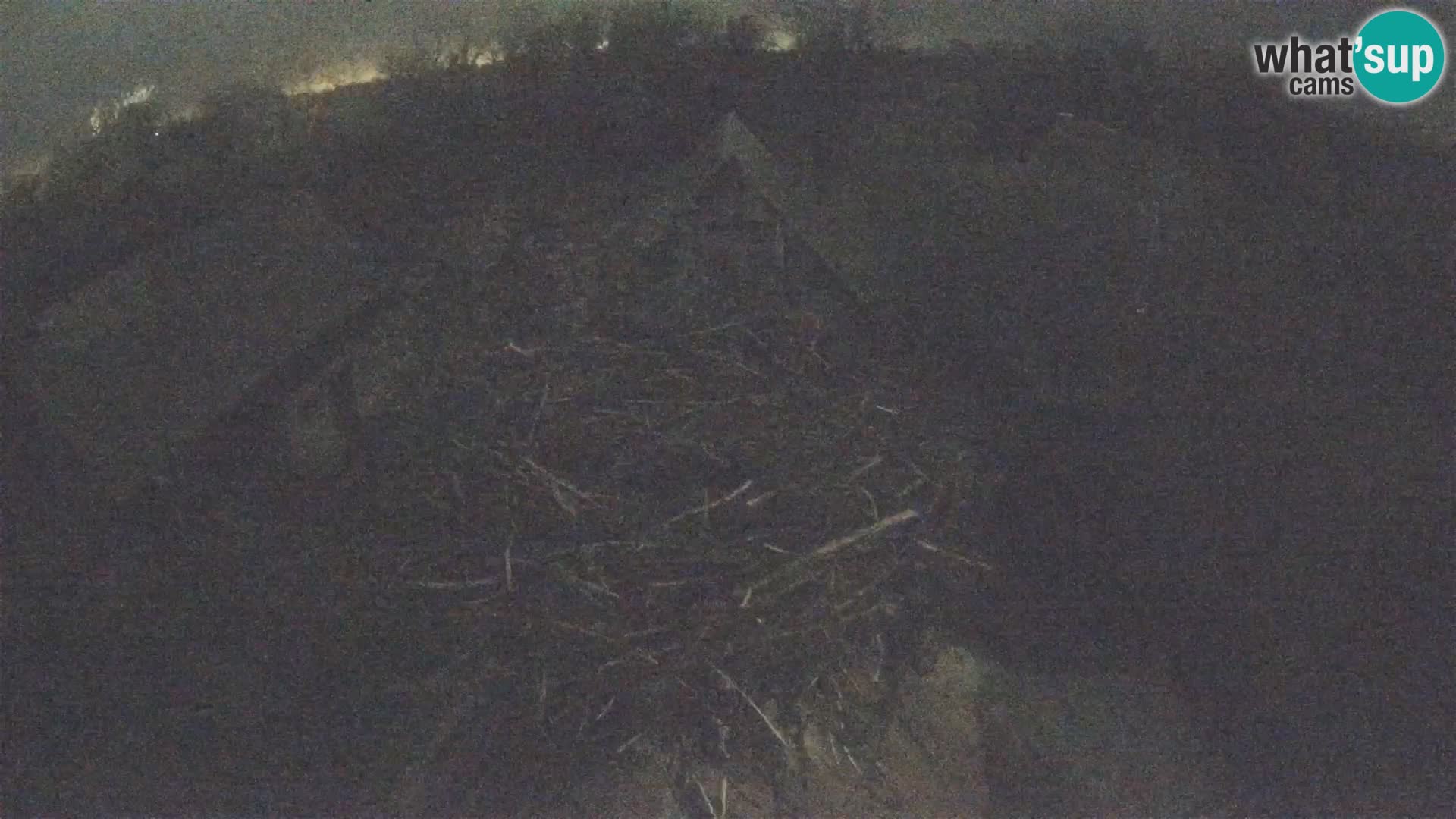 Webcam Europäisches Storchendorf – Naturpark Lonjsko polje