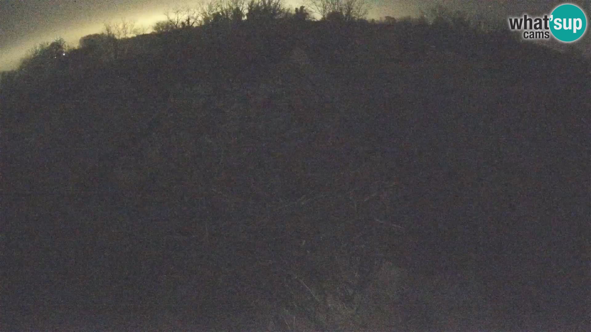 Pueblo europeo de cigüeñas camera en vivo Parque Natural Lonjsko polje