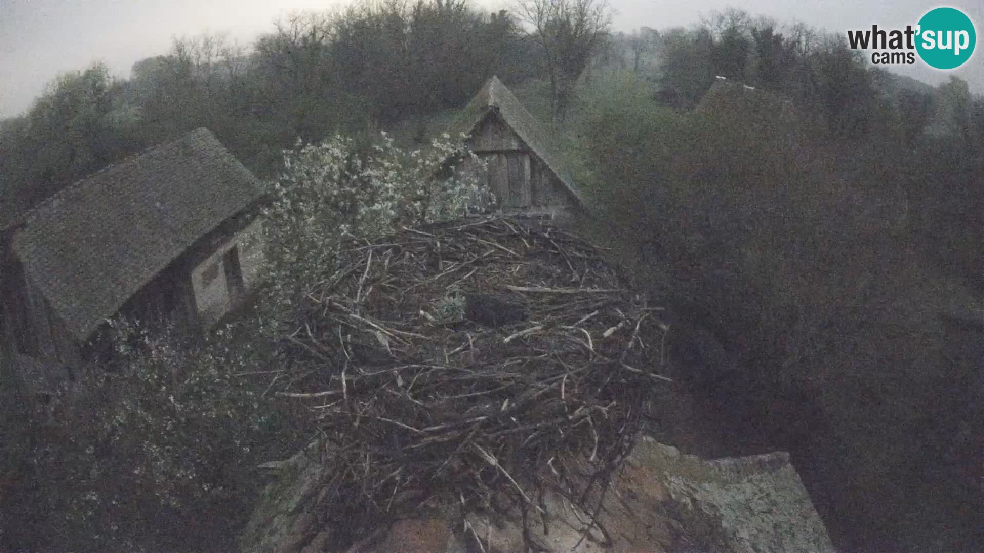 U živo Europsko selo roda – Park prirode Lonjsko polje