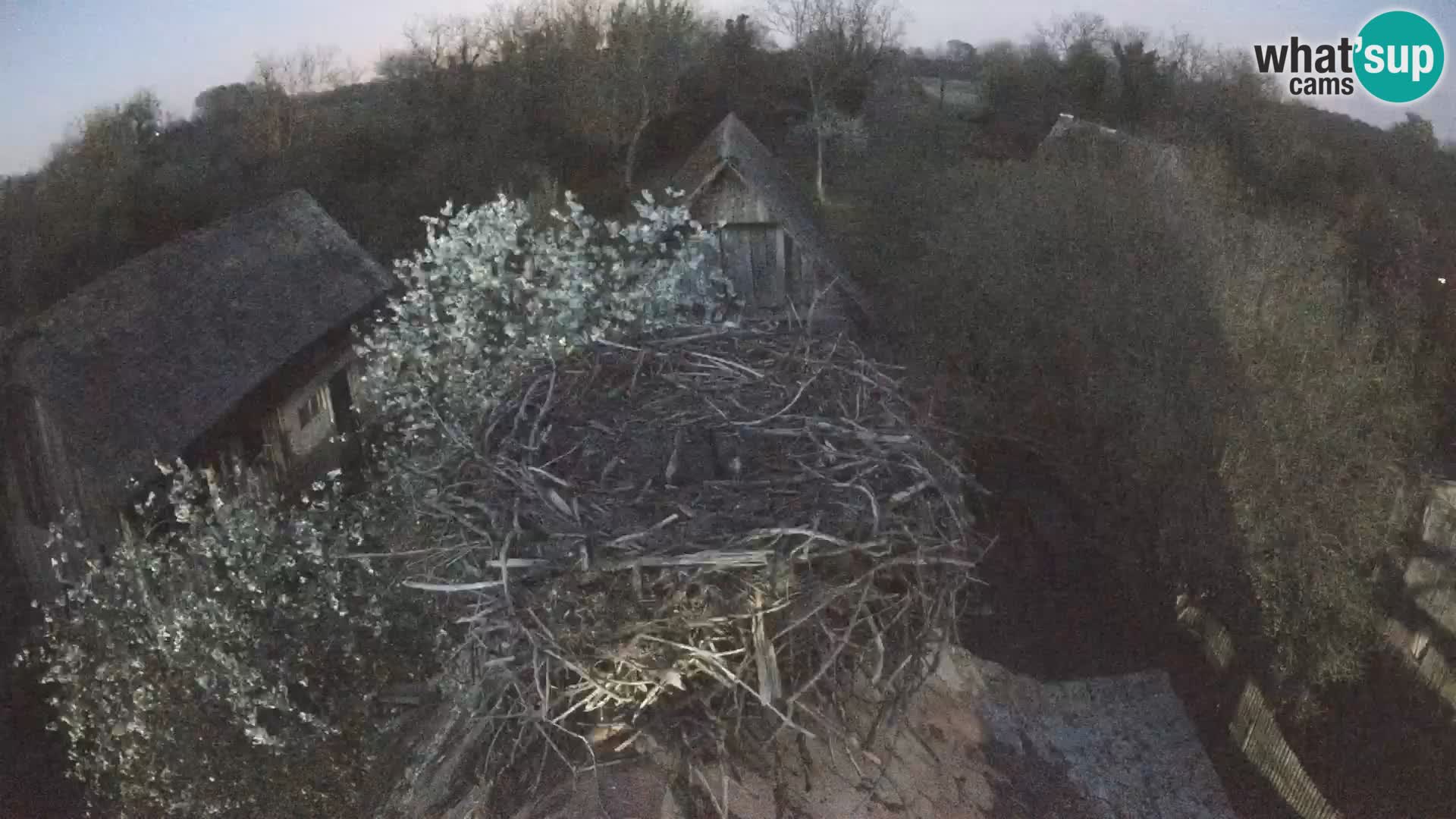 U živo Europsko selo roda – Park prirode Lonjsko polje