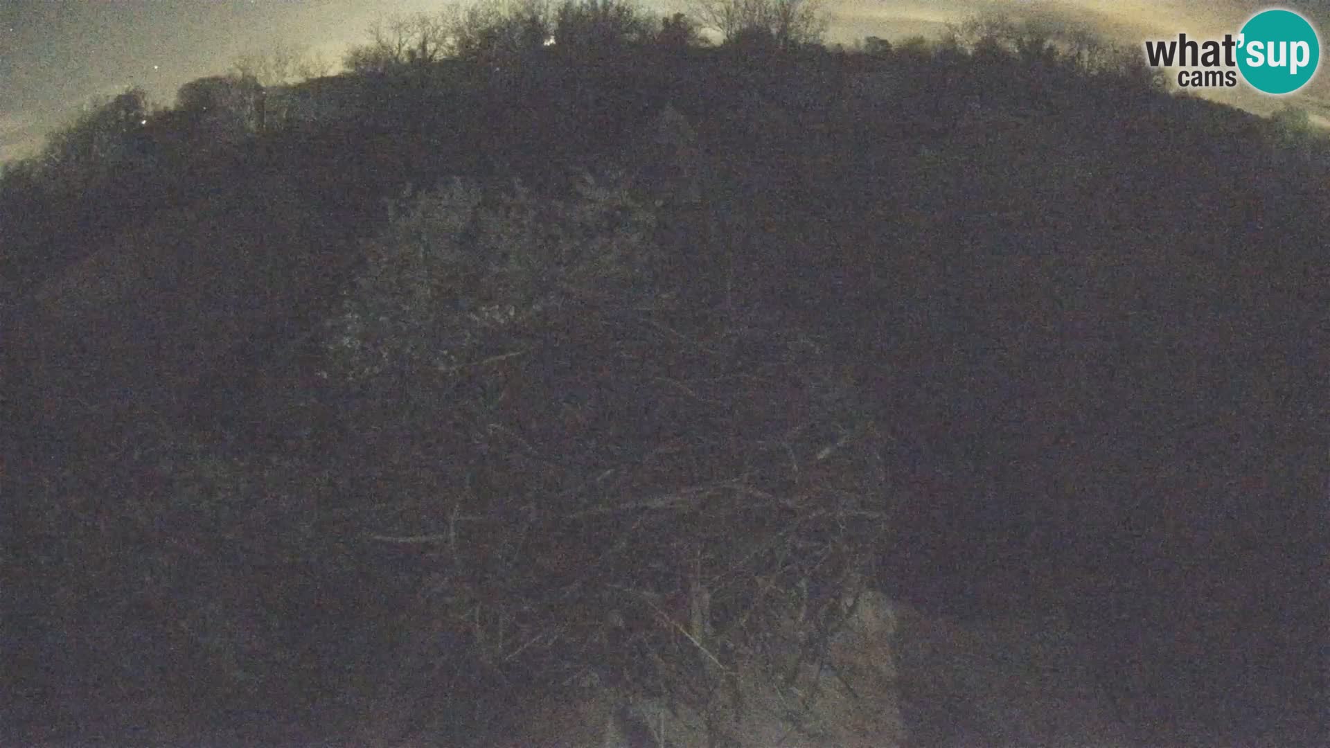 Evropska vas štorklje – Krajinski park Lonjsko polje spletna kamera