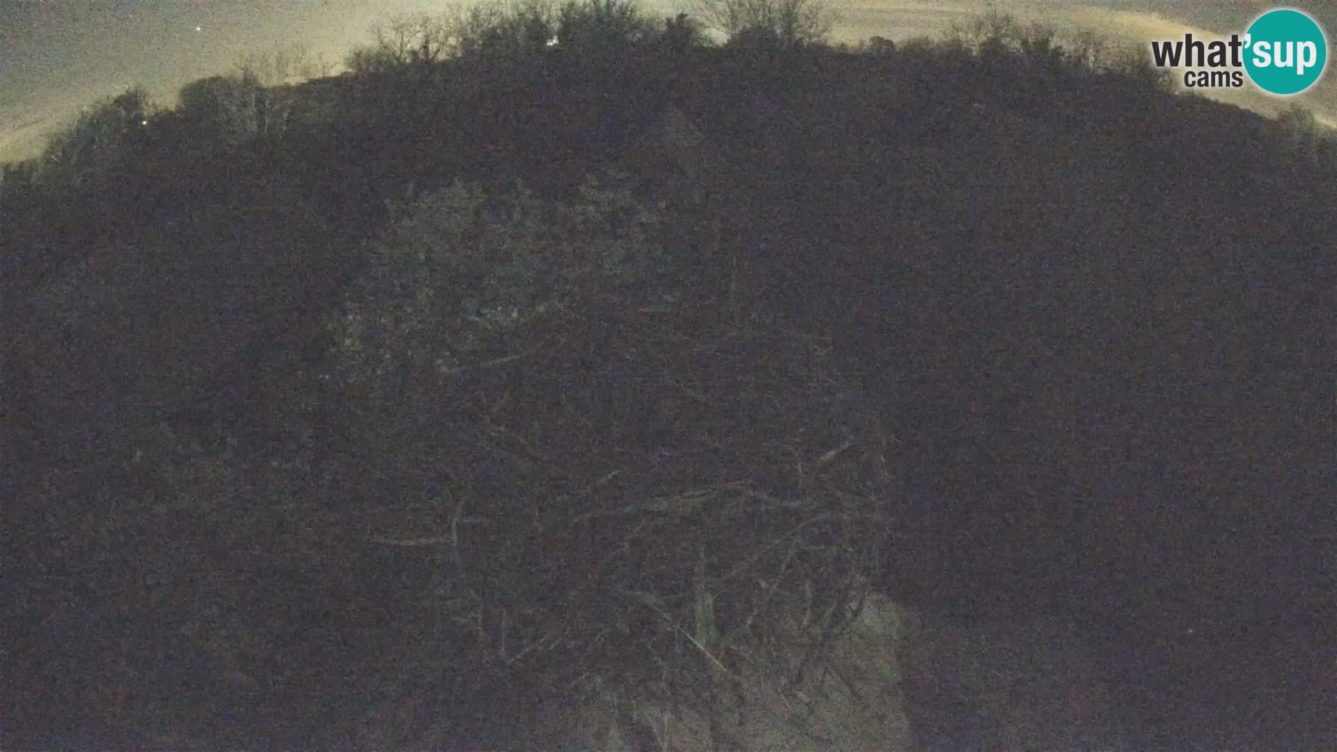 U živo Europsko selo roda – Park prirode Lonjsko polje