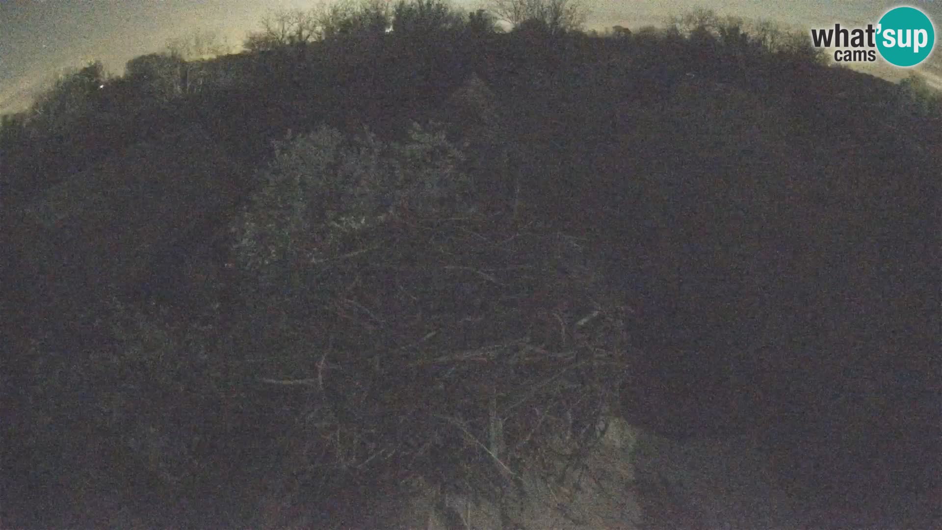 Evropska vas štorklje – Krajinski park Lonjsko polje spletna kamera