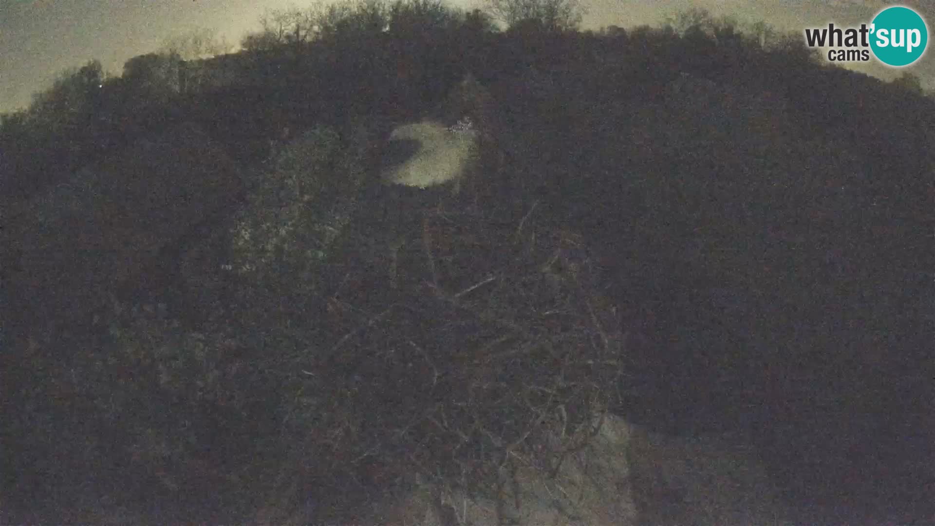 Evropska vas štorklje – Krajinski park Lonjsko polje spletna kamera