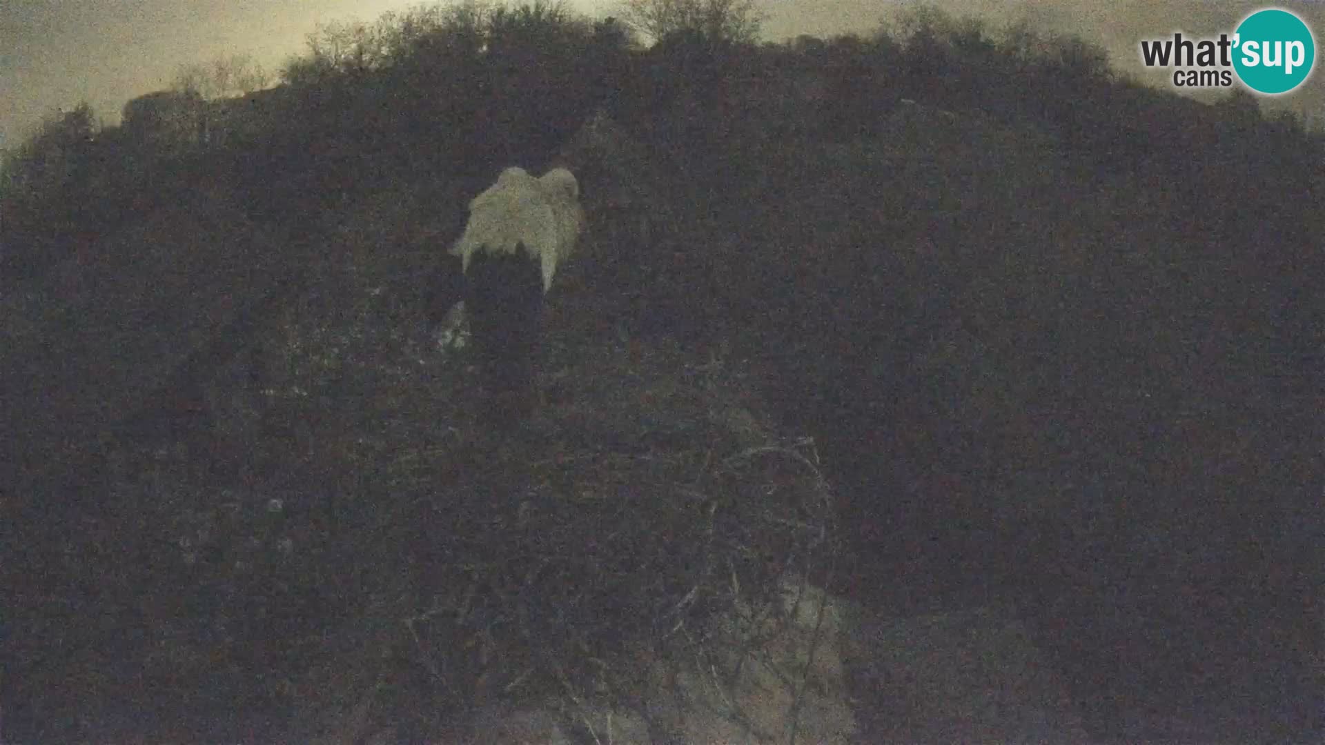 Webcam Europäisches Storchendorf – Naturpark Lonjsko polje