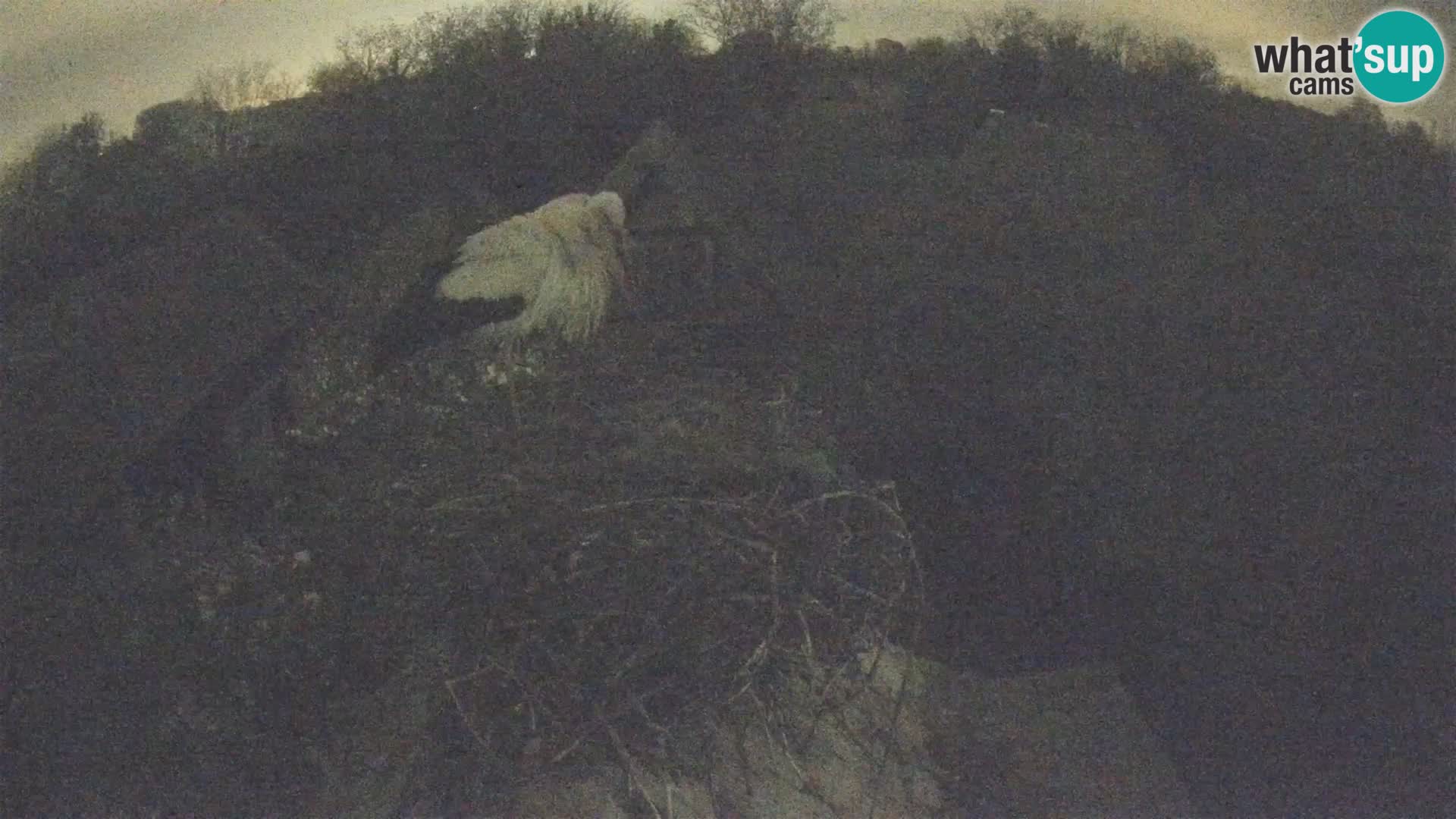 U živo Europsko selo roda – Park prirode Lonjsko polje