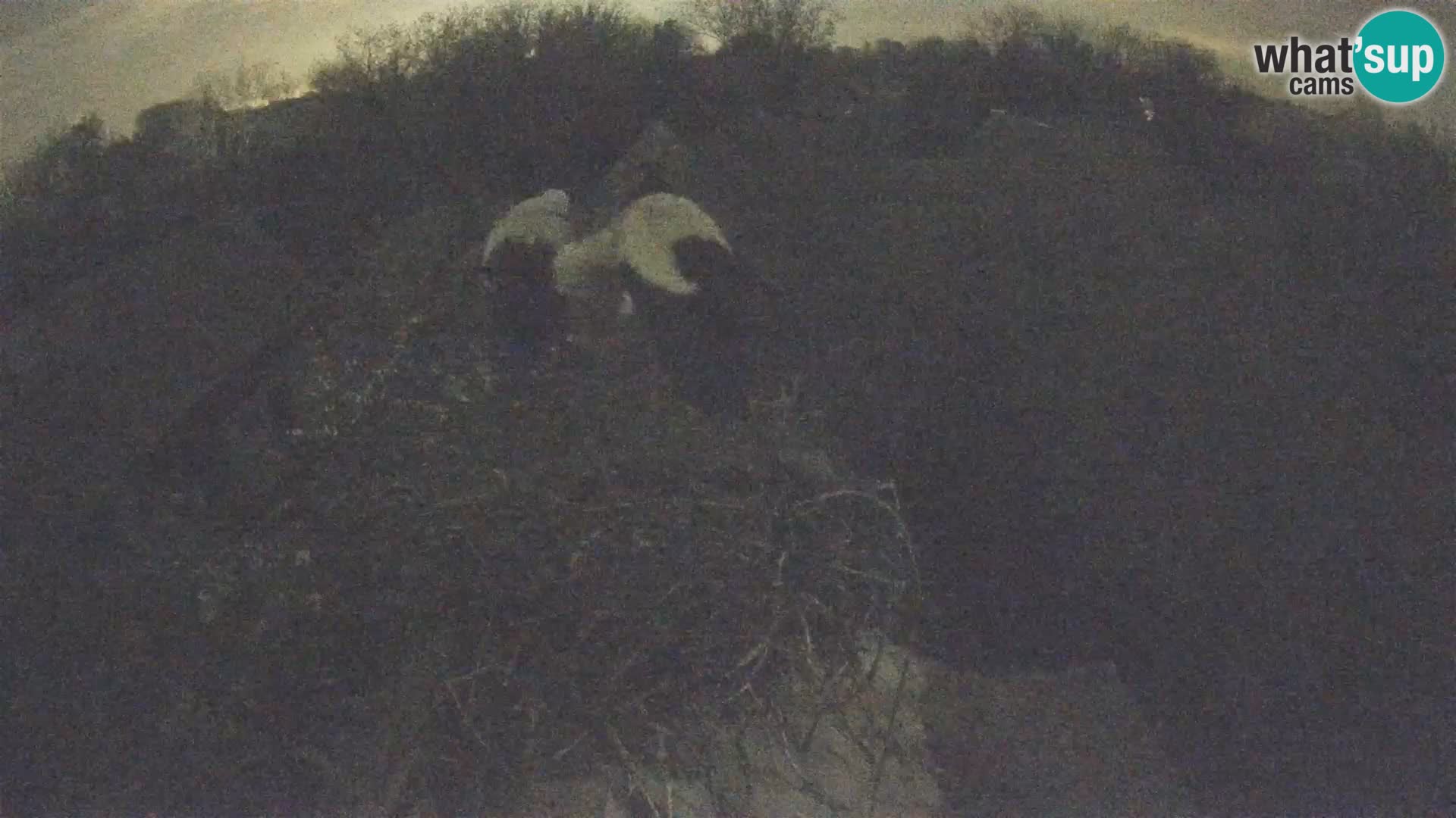 U živo Europsko selo roda – Park prirode Lonjsko polje
