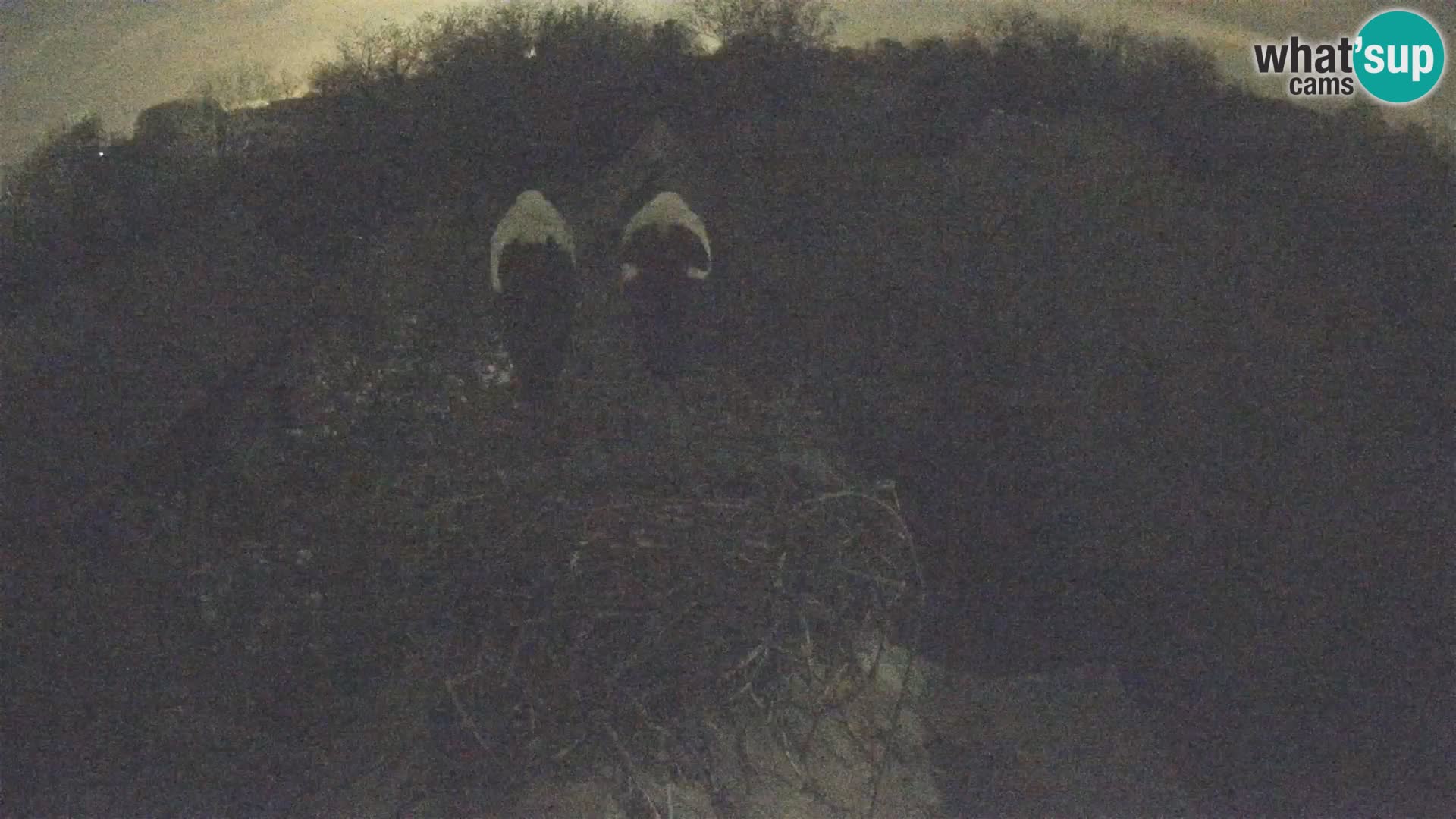 Pueblo europeo de cigüeñas camera en vivo Parque Natural Lonjsko polje