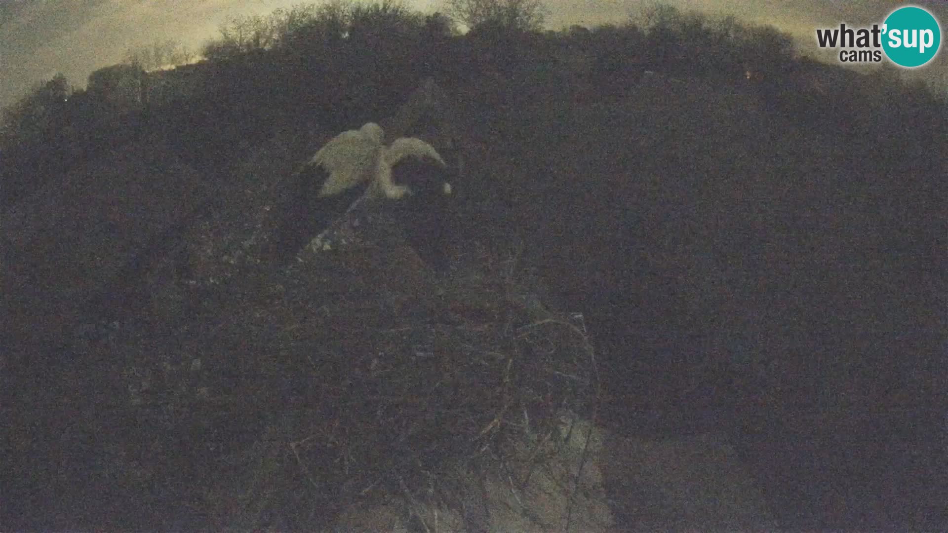 U živo Europsko selo roda – Park prirode Lonjsko polje