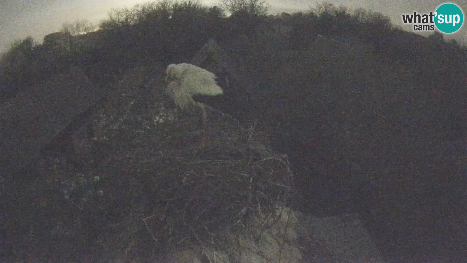 U živo Europsko selo roda – Park prirode Lonjsko polje