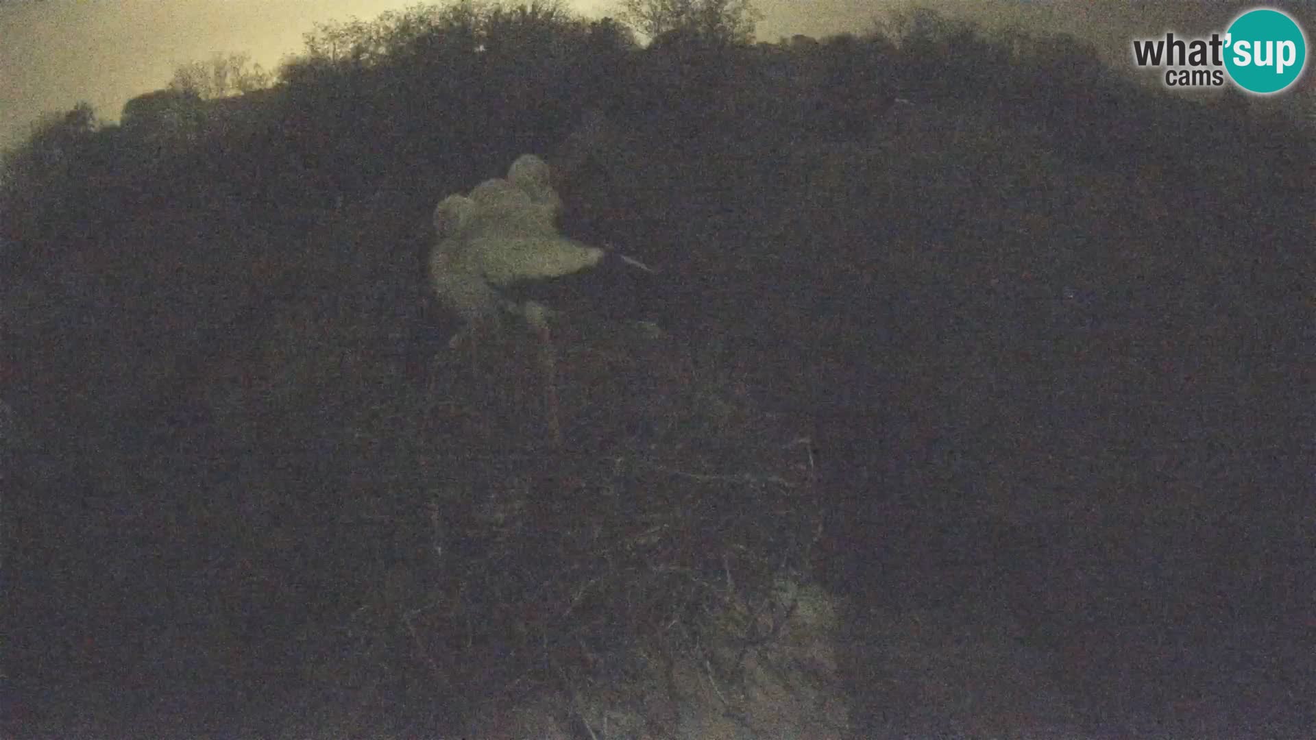 U živo Europsko selo roda – Park prirode Lonjsko polje