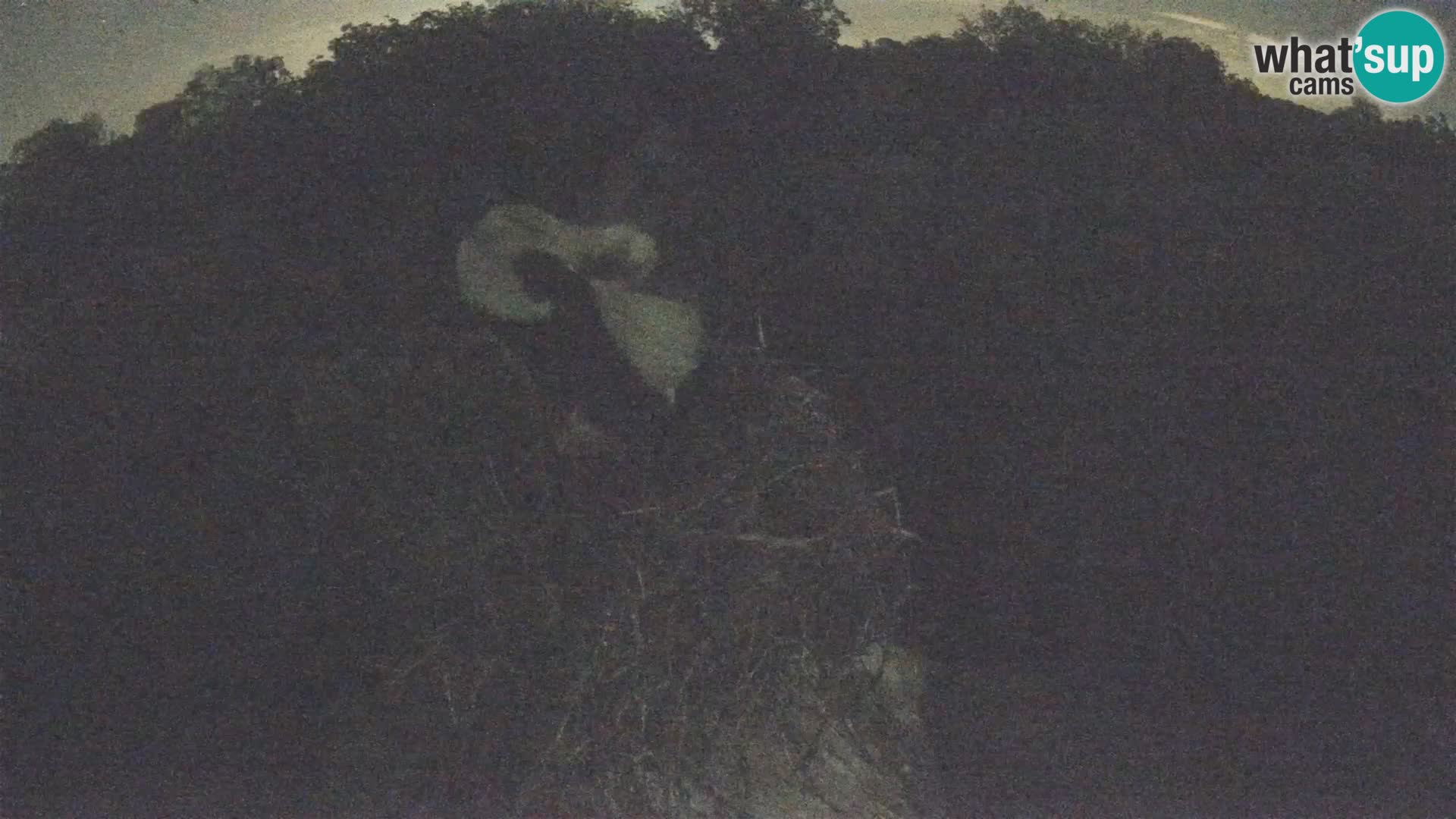 U živo Europsko selo roda – Park prirode Lonjsko polje