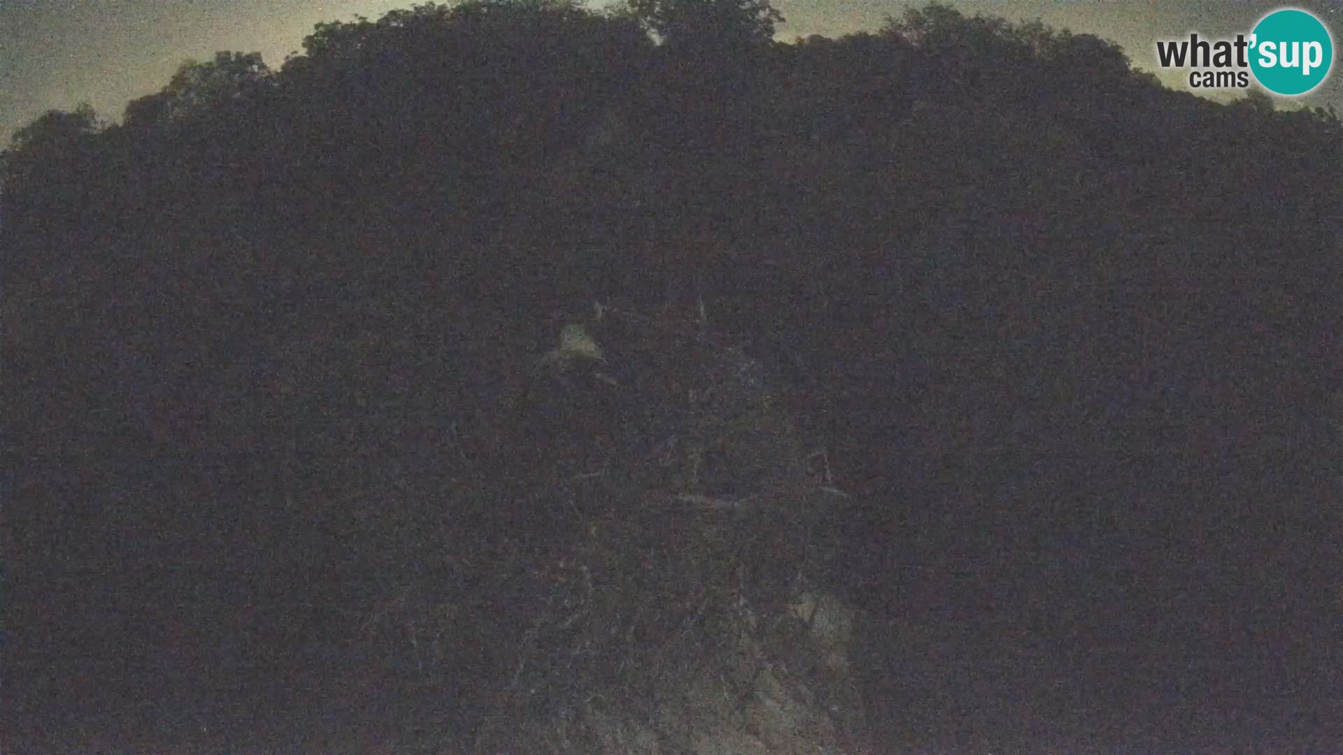 Village européen de cigognes webcam Parc naturel de Lonjsko polje