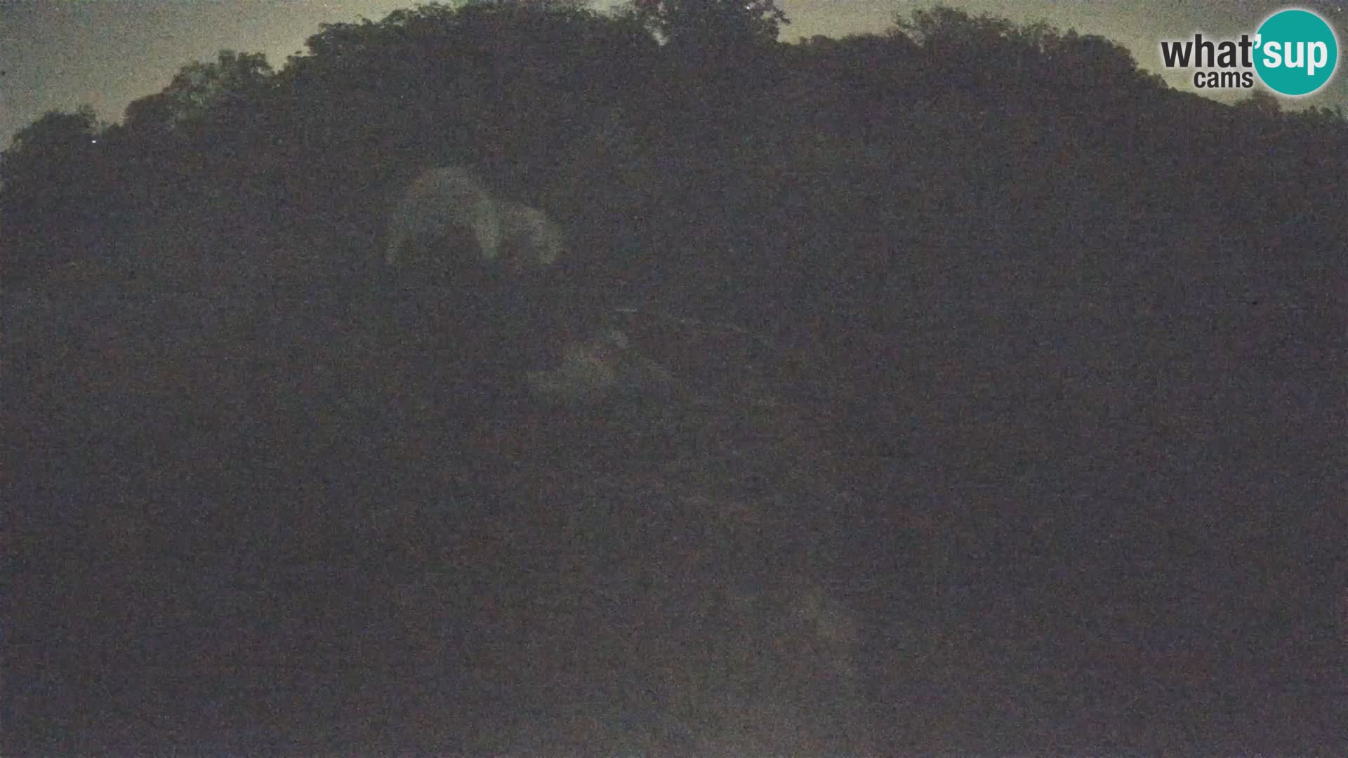 U živo Europsko selo roda – Park prirode Lonjsko polje