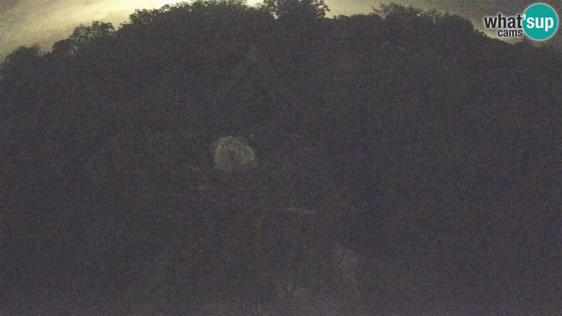 Pueblo europeo de cigüeñas camera en vivo Parque Natural Lonjsko polje