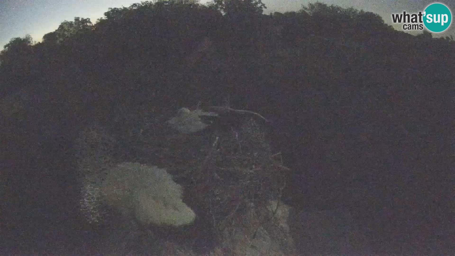 Evropska vas štorklje – Krajinski park Lonjsko polje spletna kamera