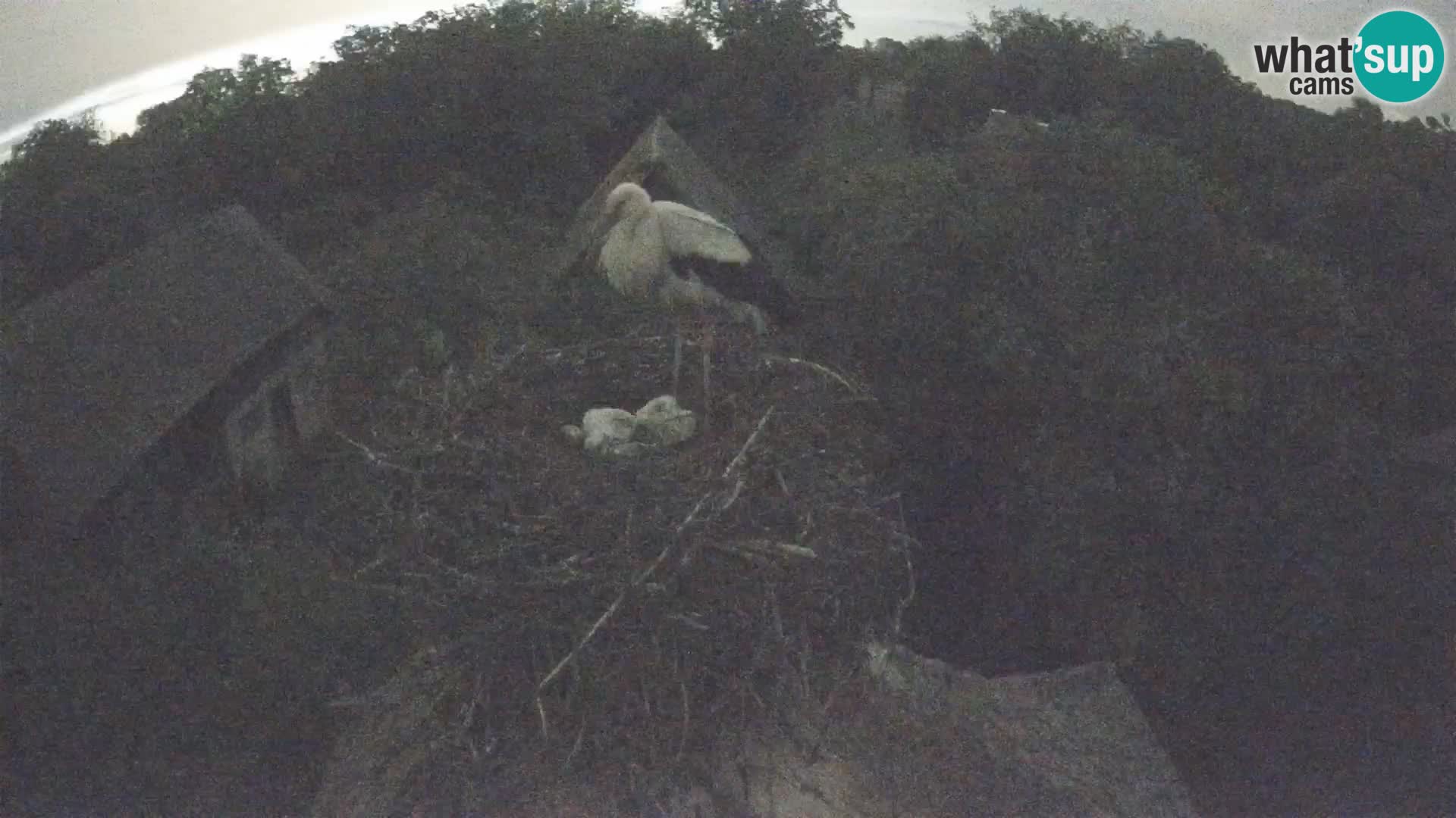 U živo Europsko selo roda – Park prirode Lonjsko polje