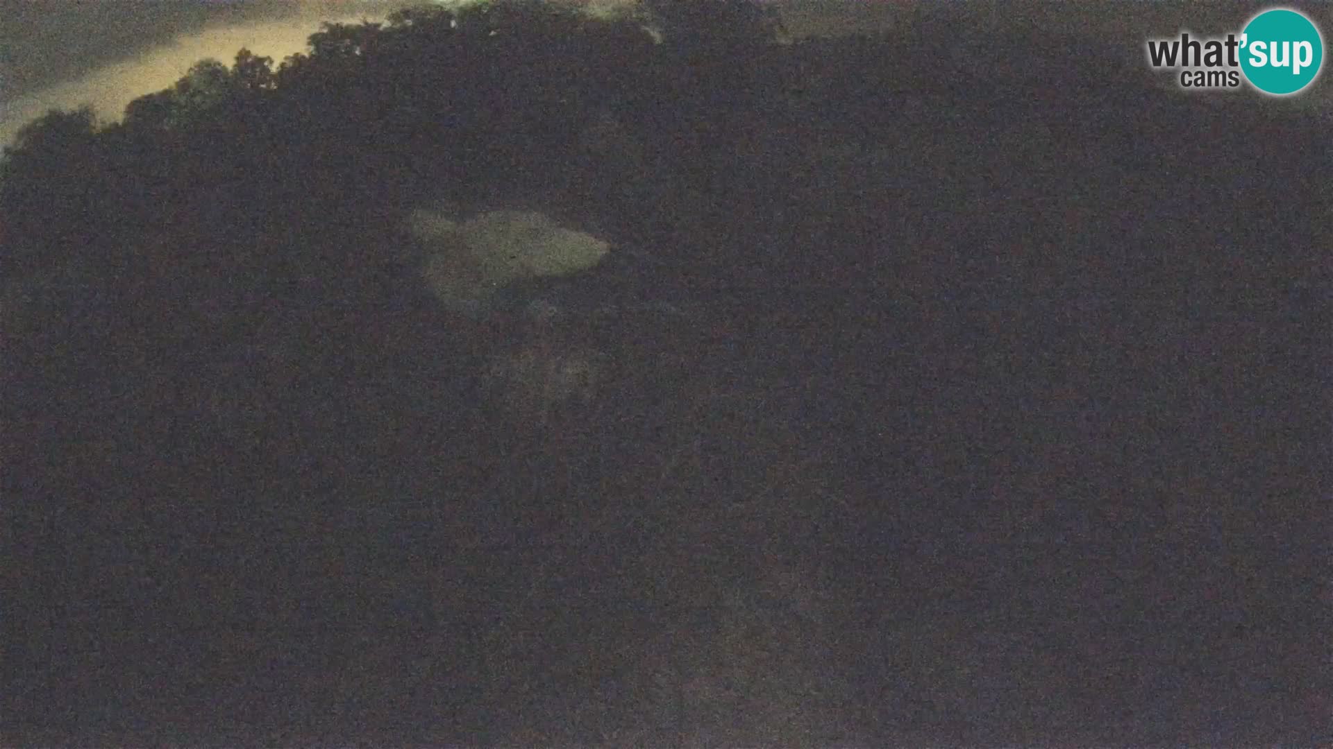 Villaggio delle cicogne europee webcam Parco naturale di Lonjsko polje