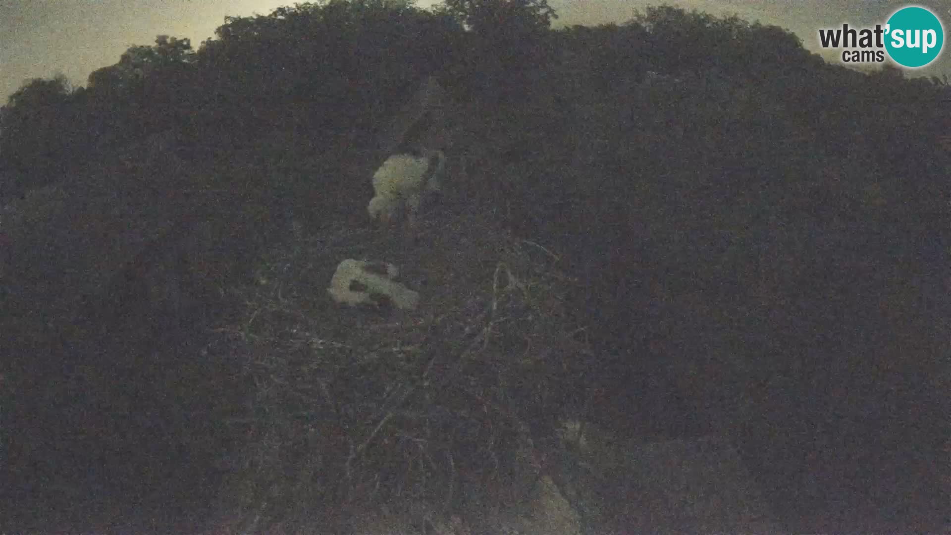 U živo Europsko selo roda – Park prirode Lonjsko polje