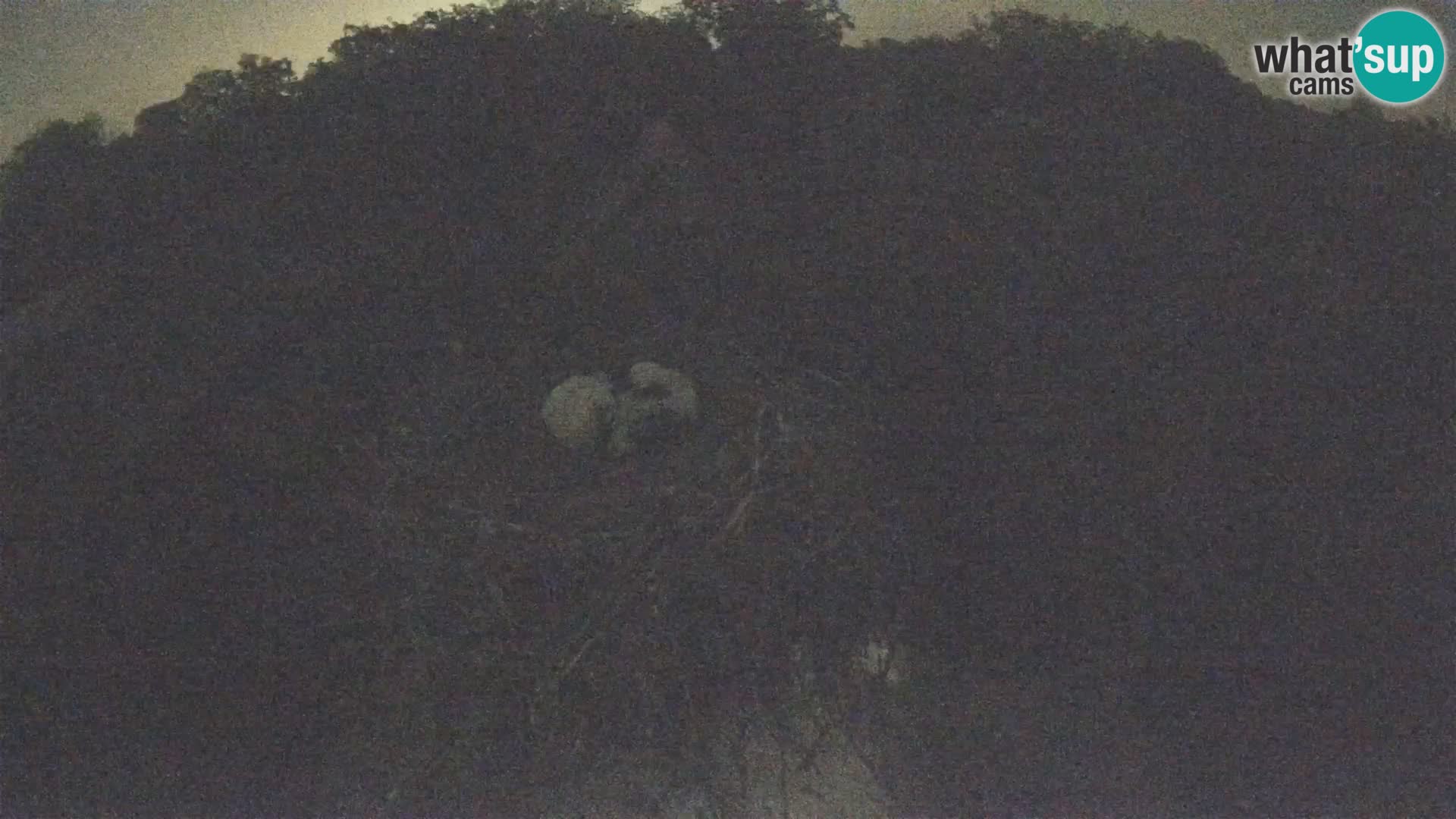 U živo Europsko selo roda – Park prirode Lonjsko polje