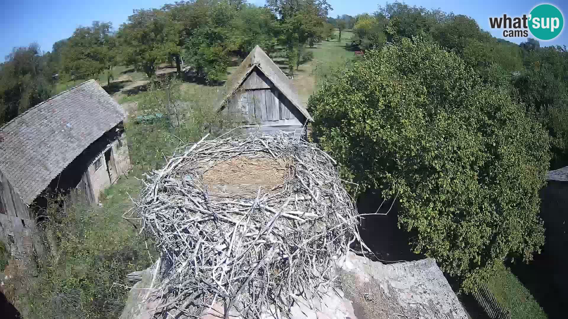 U živo Europsko selo roda – Park prirode Lonjsko polje
