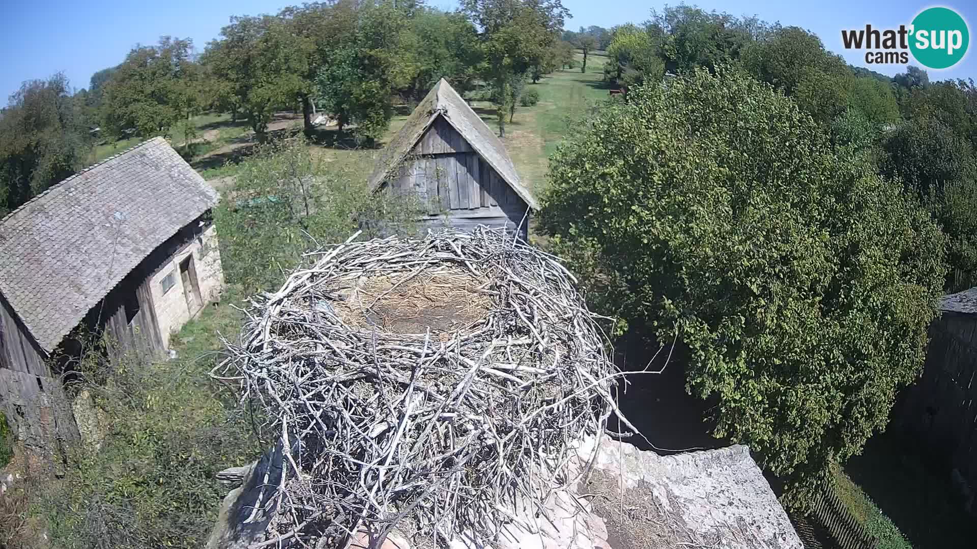 U živo Europsko selo roda – Park prirode Lonjsko polje
