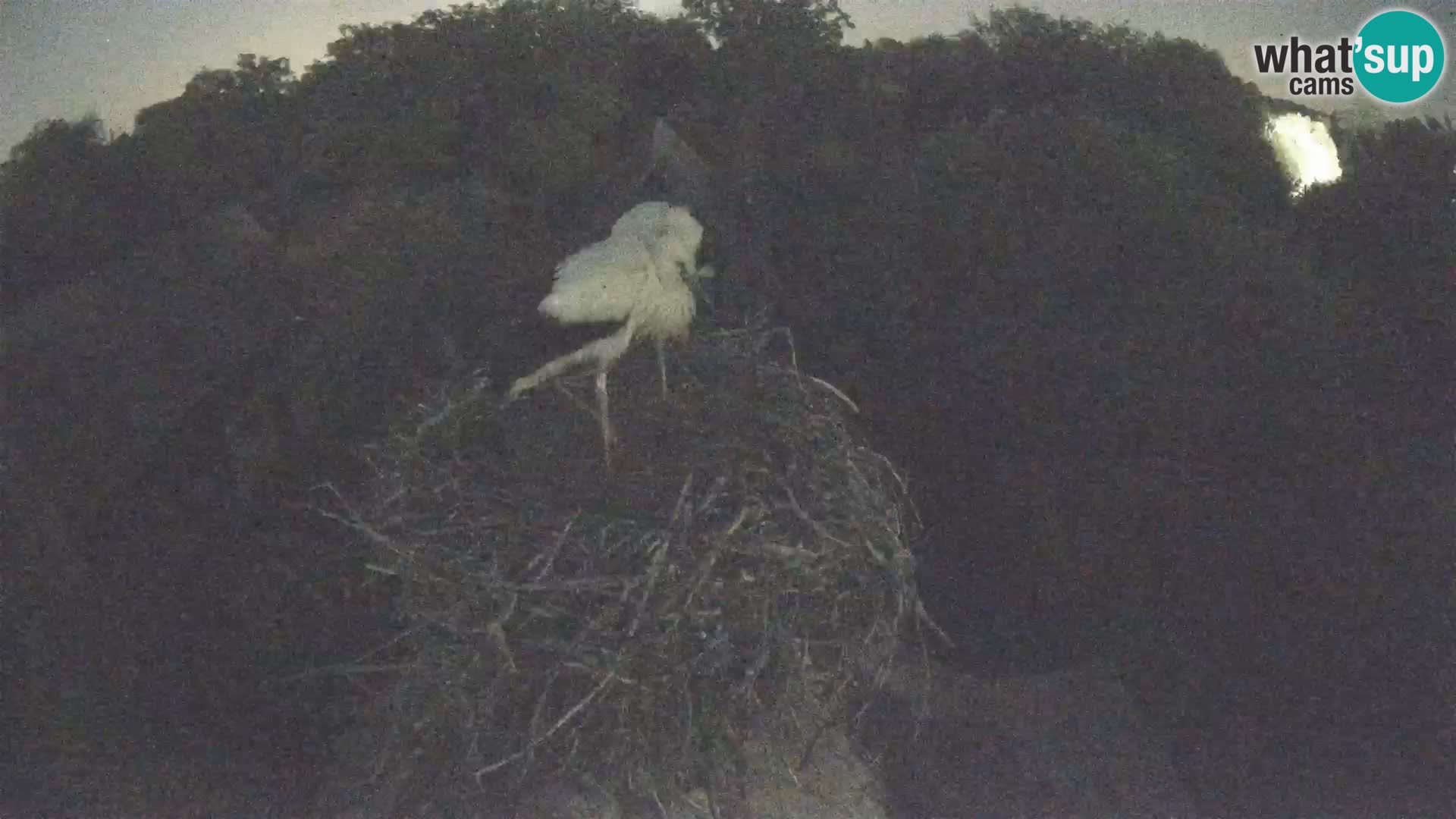 U živo Europsko selo roda – Park prirode Lonjsko polje