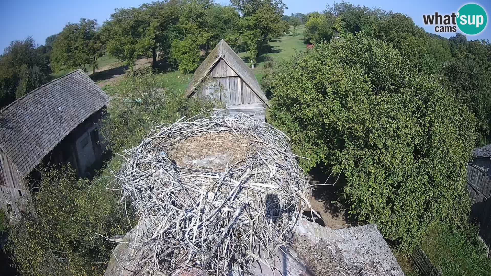 U živo Europsko selo roda – Park prirode Lonjsko polje