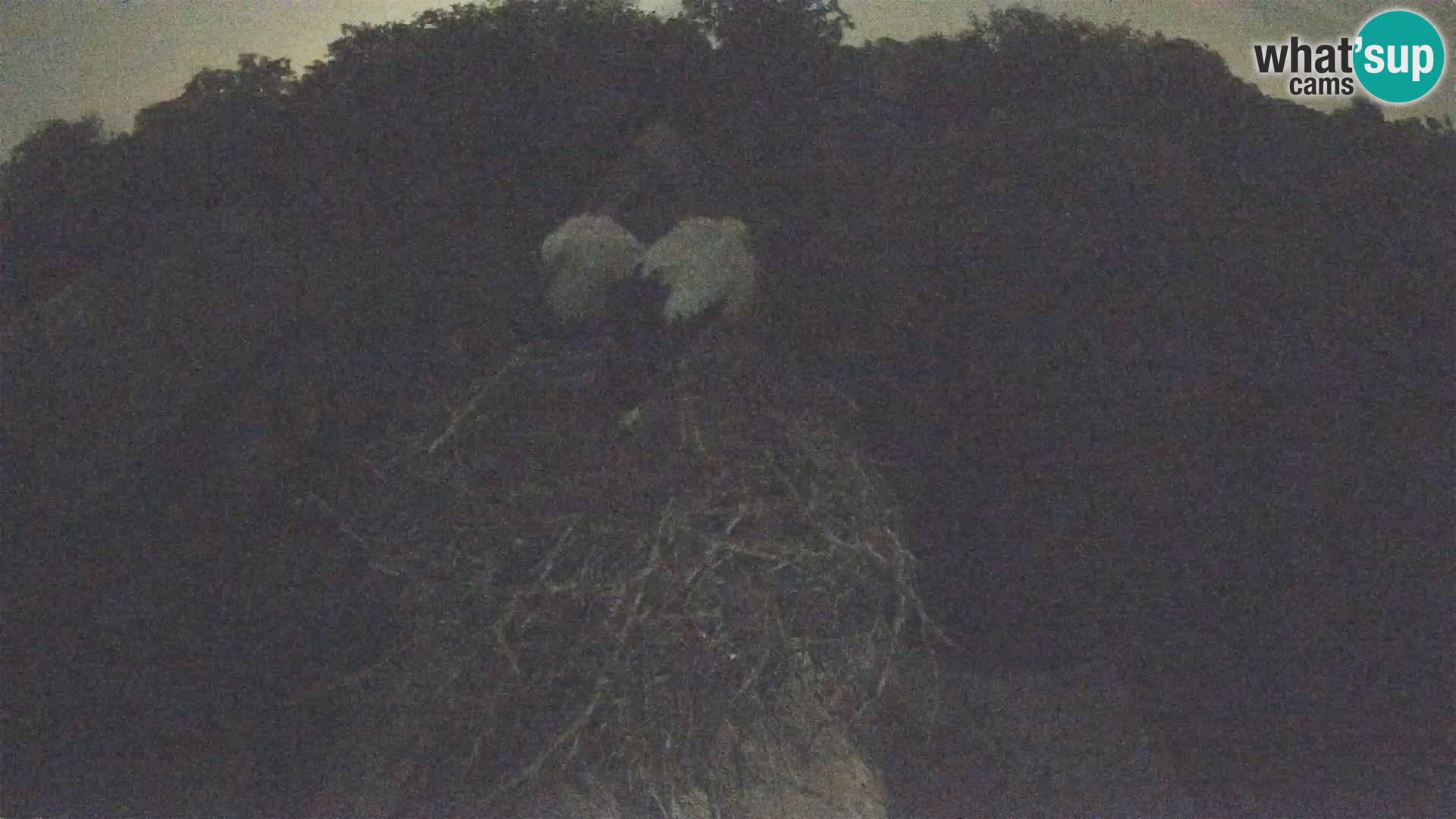 U živo Europsko selo roda – Park prirode Lonjsko polje
