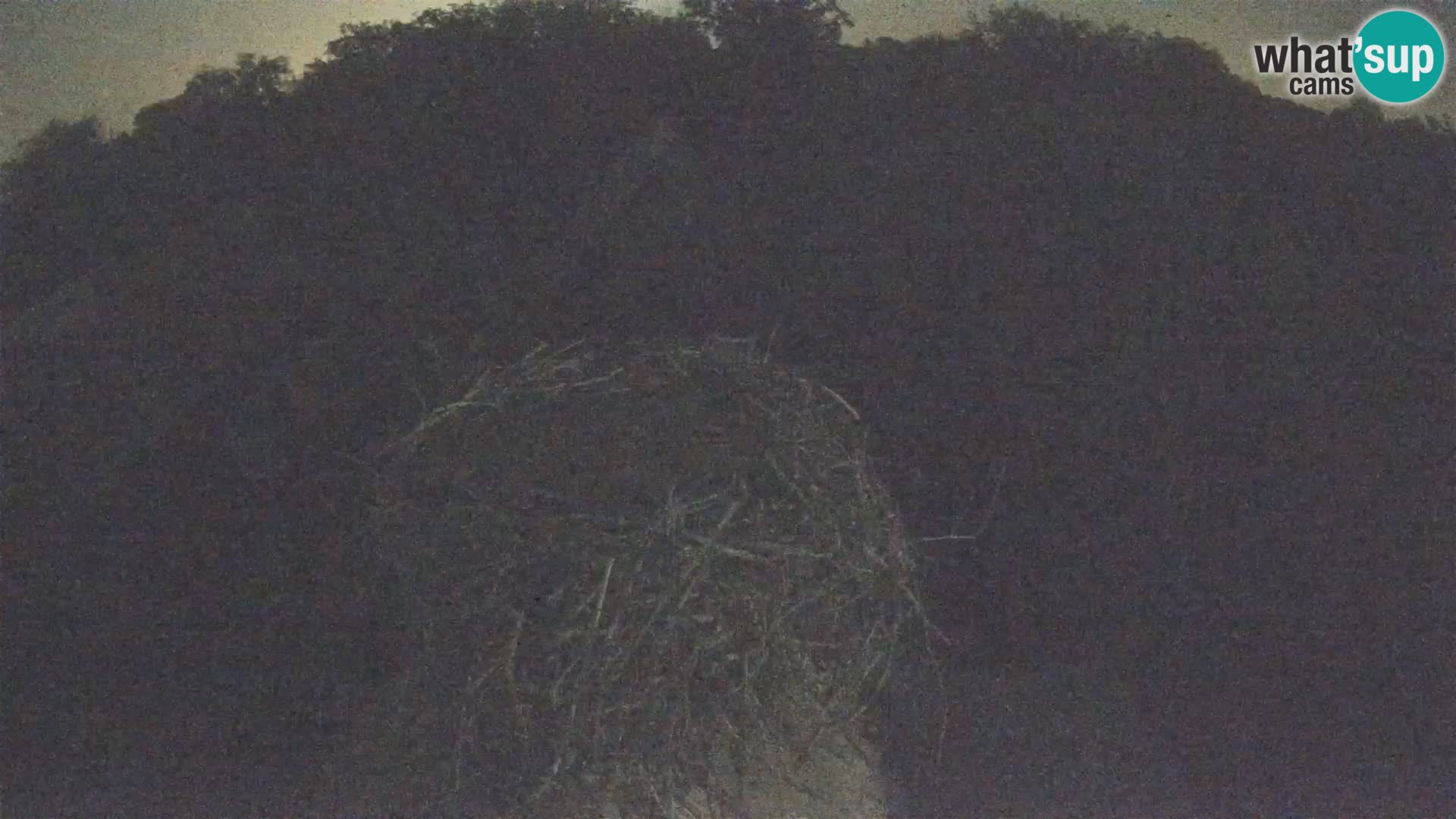 U živo Europsko selo roda – Park prirode Lonjsko polje