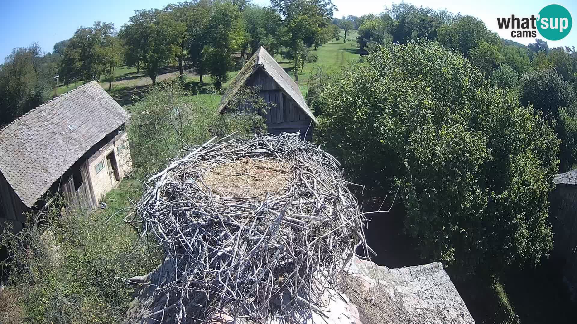 U živo Europsko selo roda – Park prirode Lonjsko polje
