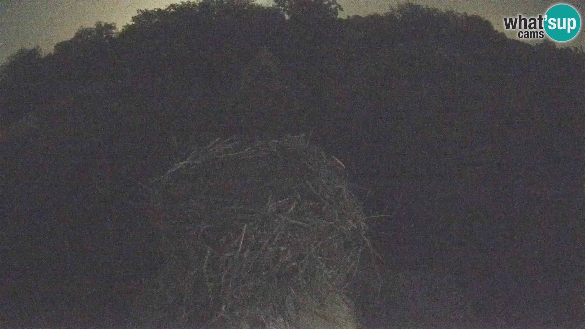 U živo Europsko selo roda – Park prirode Lonjsko polje