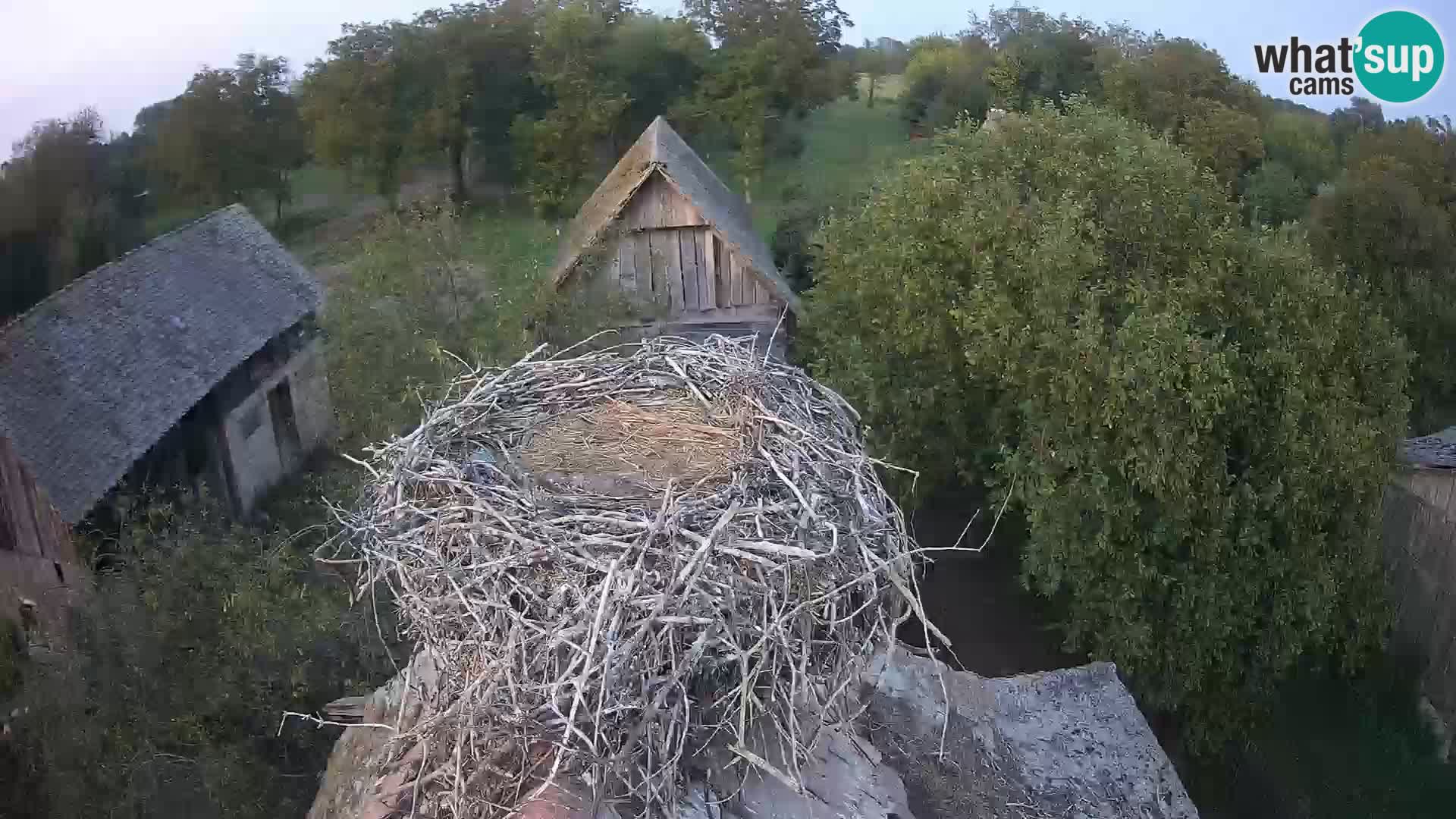 U živo Europsko selo roda – Park prirode Lonjsko polje