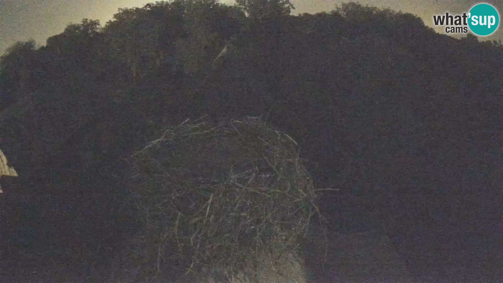 Webcam Europäisches Storchendorf – Naturpark Lonjsko polje