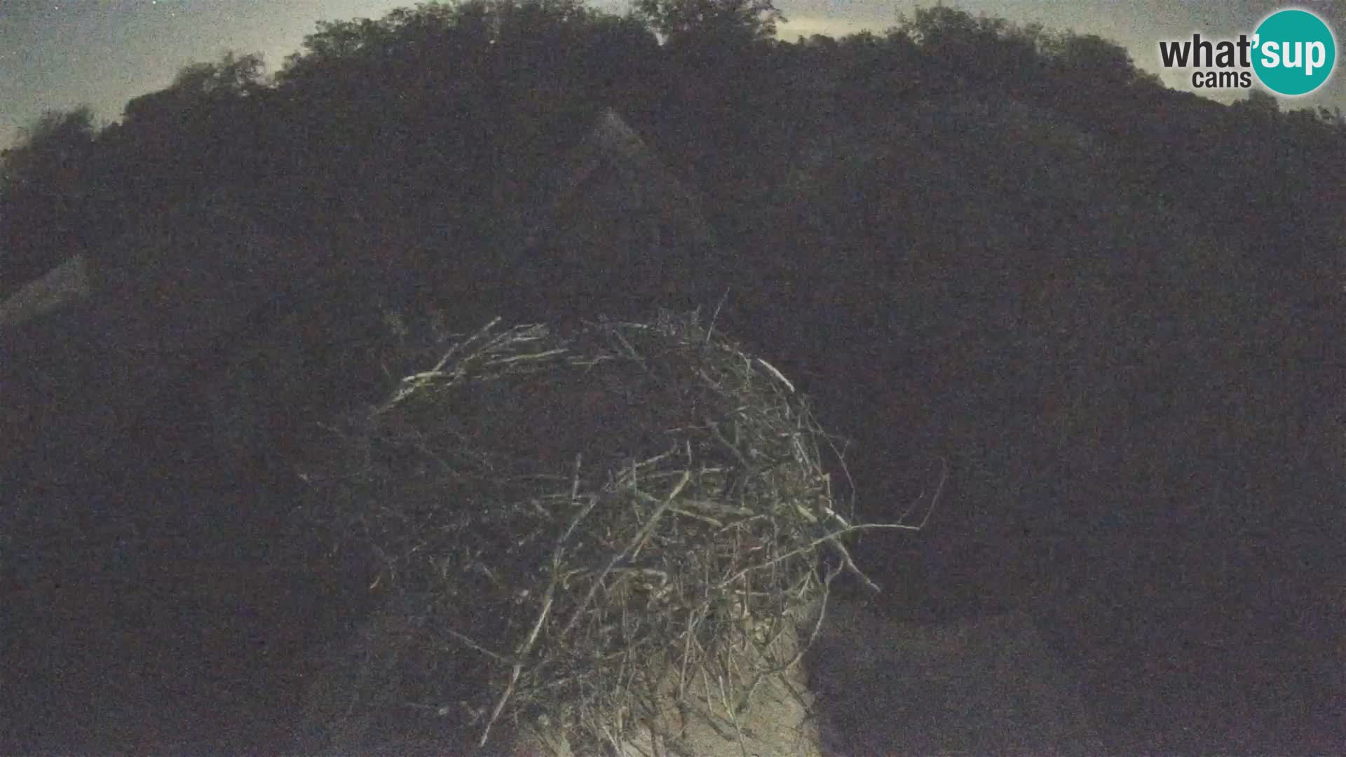 U živo Europsko selo roda – Park prirode Lonjsko polje