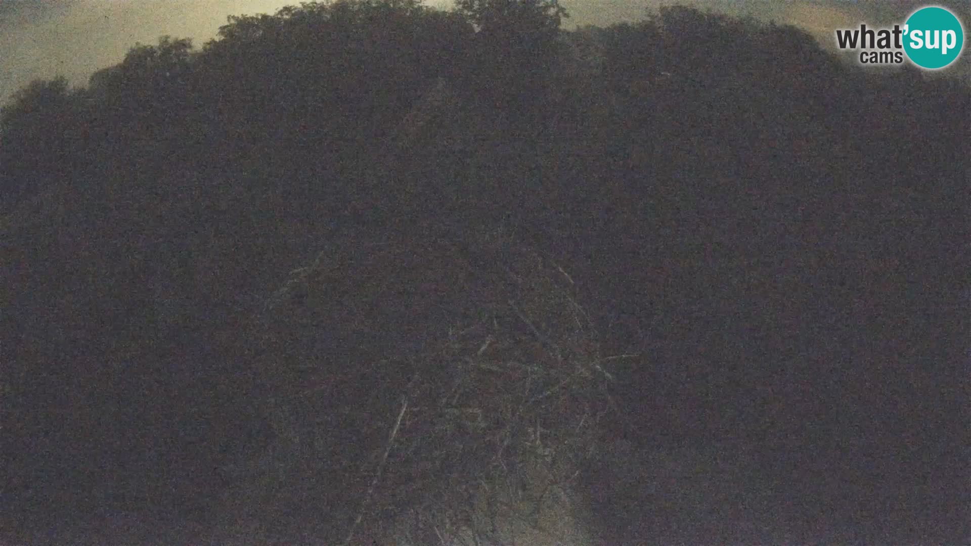 Evropska vas štorklje – Krajinski park Lonjsko polje spletna kamera
