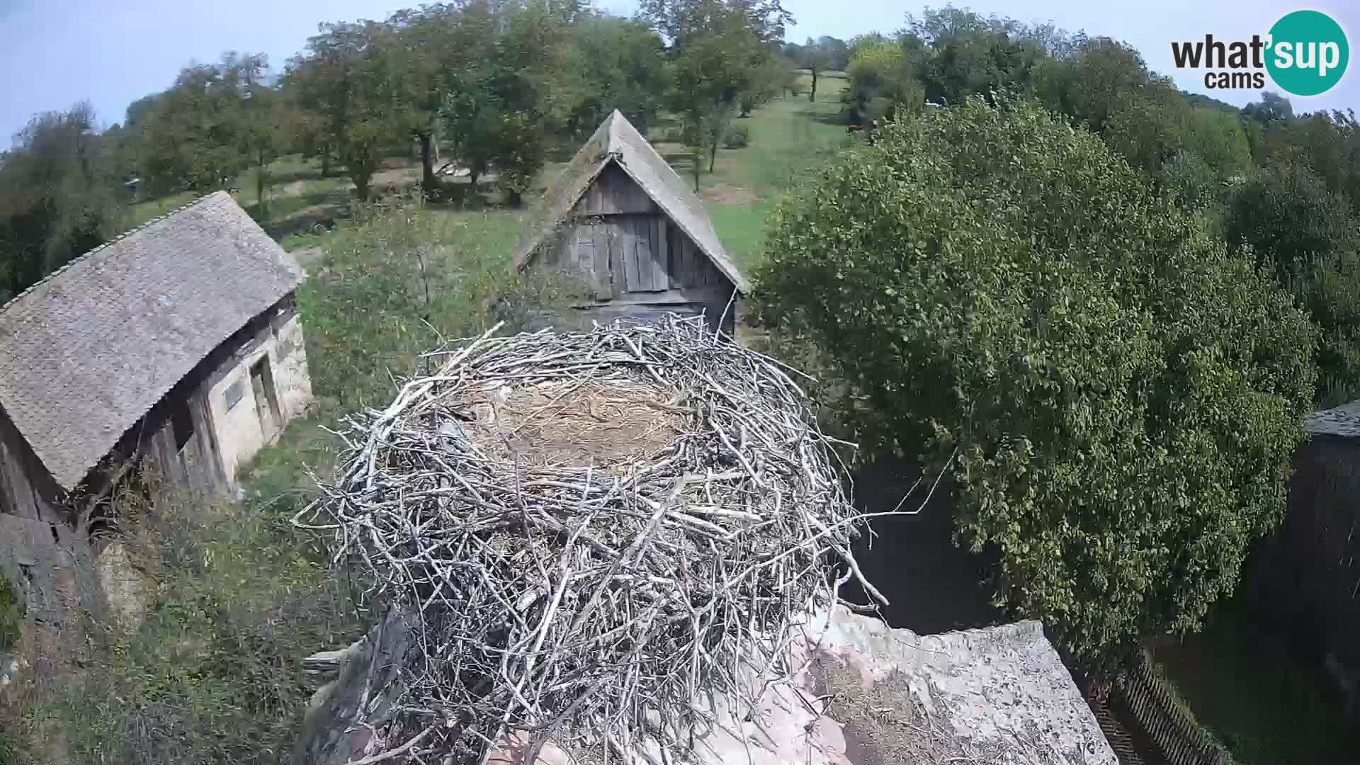 U živo Europsko selo roda – Park prirode Lonjsko polje