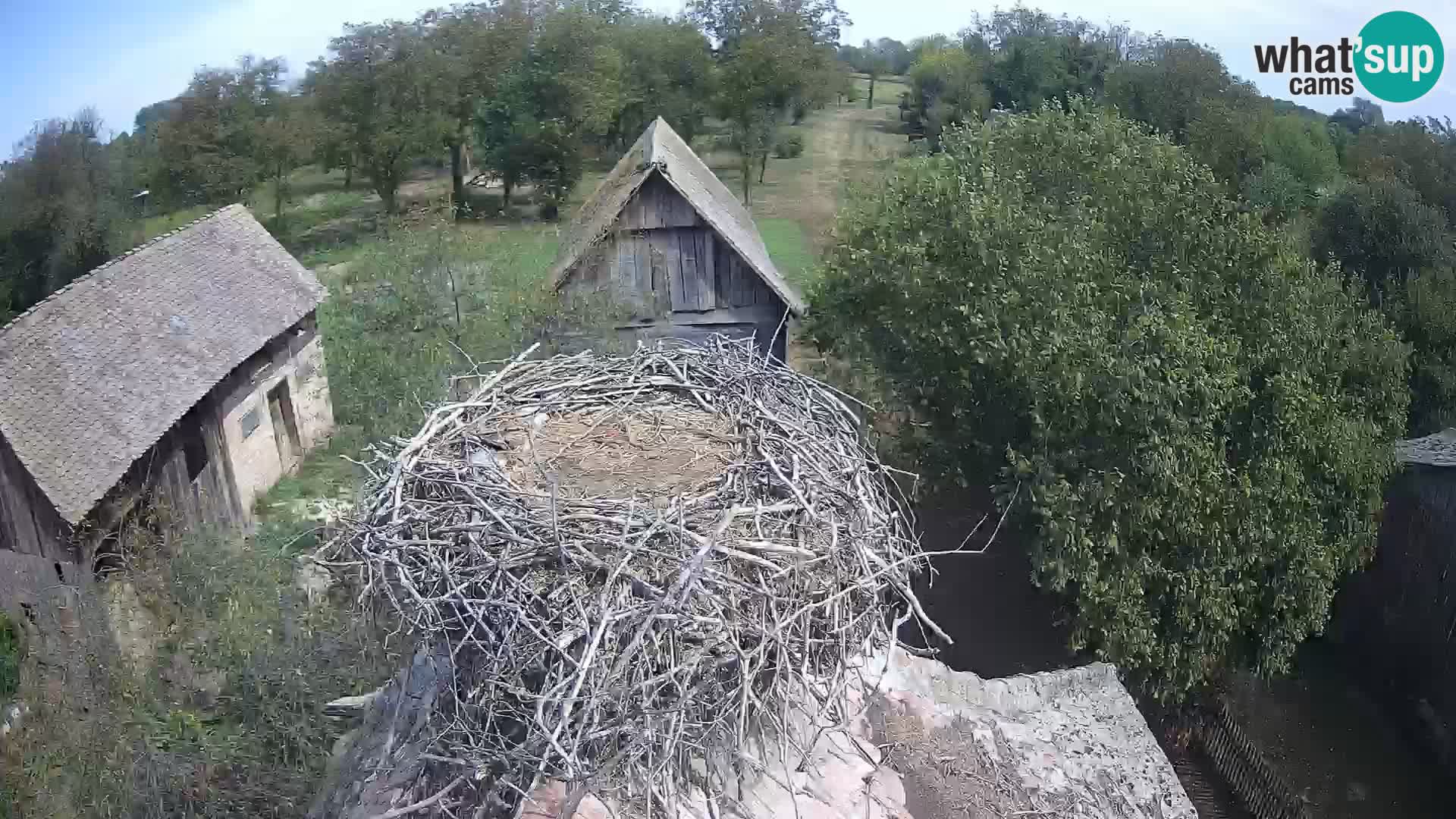 U živo Europsko selo roda – Park prirode Lonjsko polje