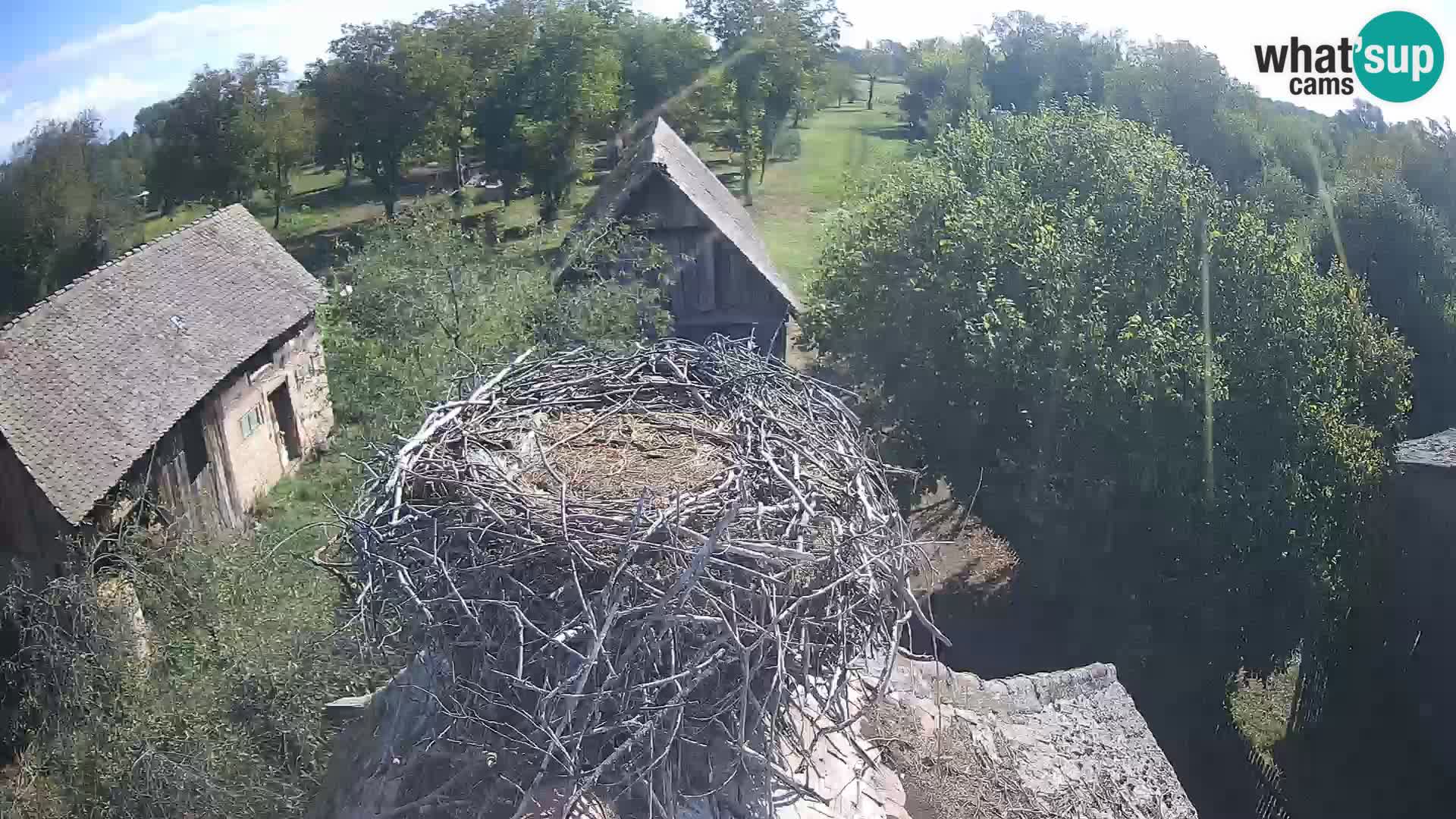 U živo Europsko selo roda – Park prirode Lonjsko polje